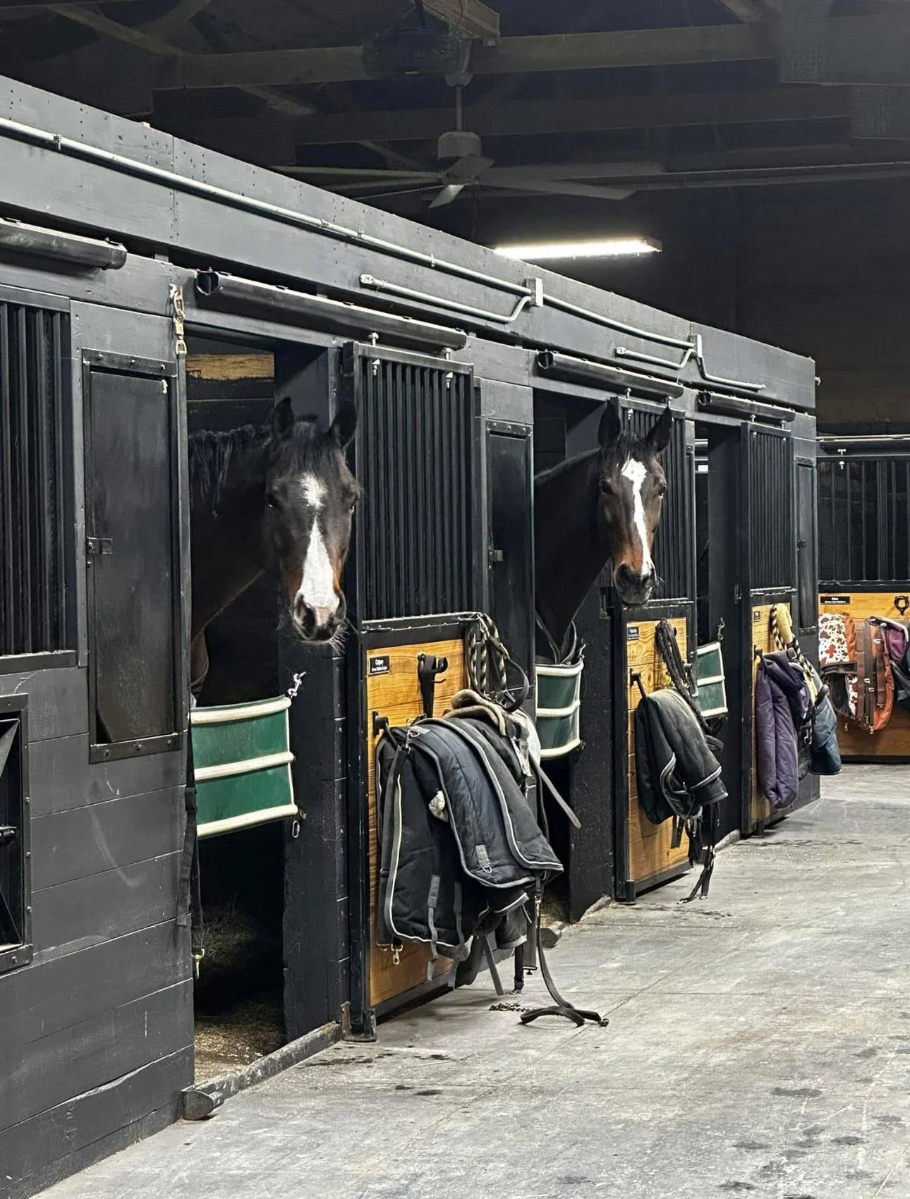 pia and calgary stalls.jpg