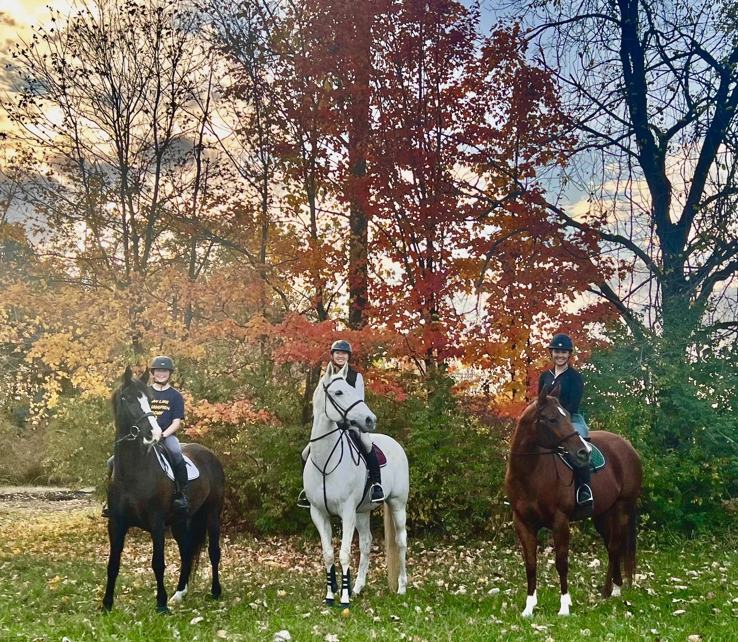 anna haley kristina.jpg