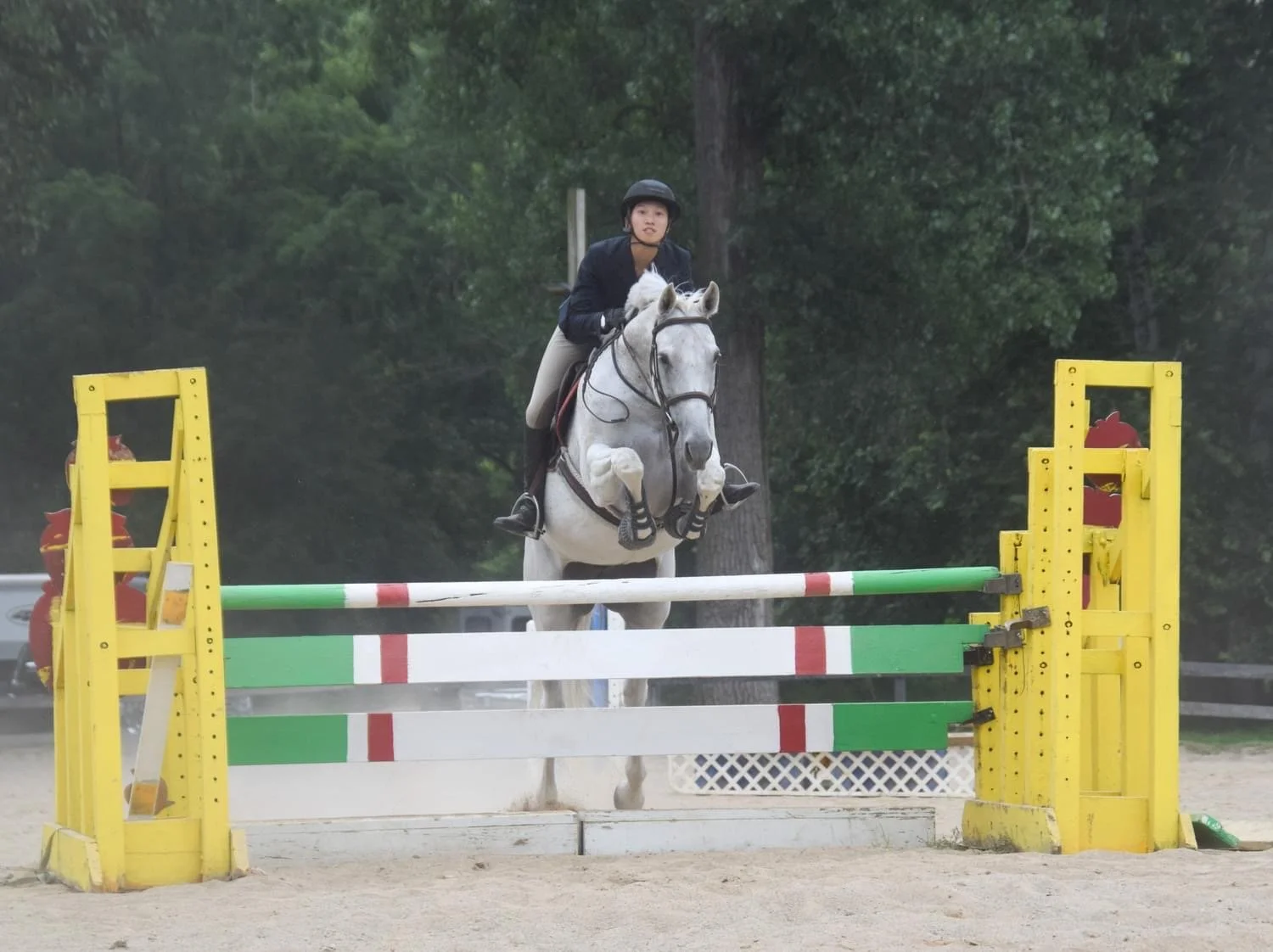 haley and stella AJ 3.JPG