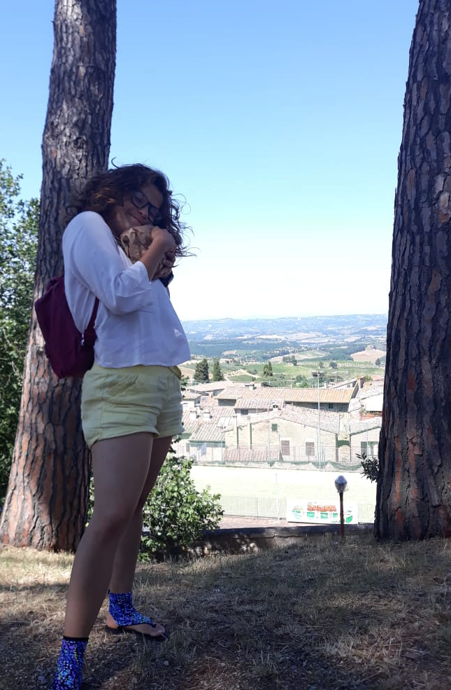 190610_SanGimignano3.png