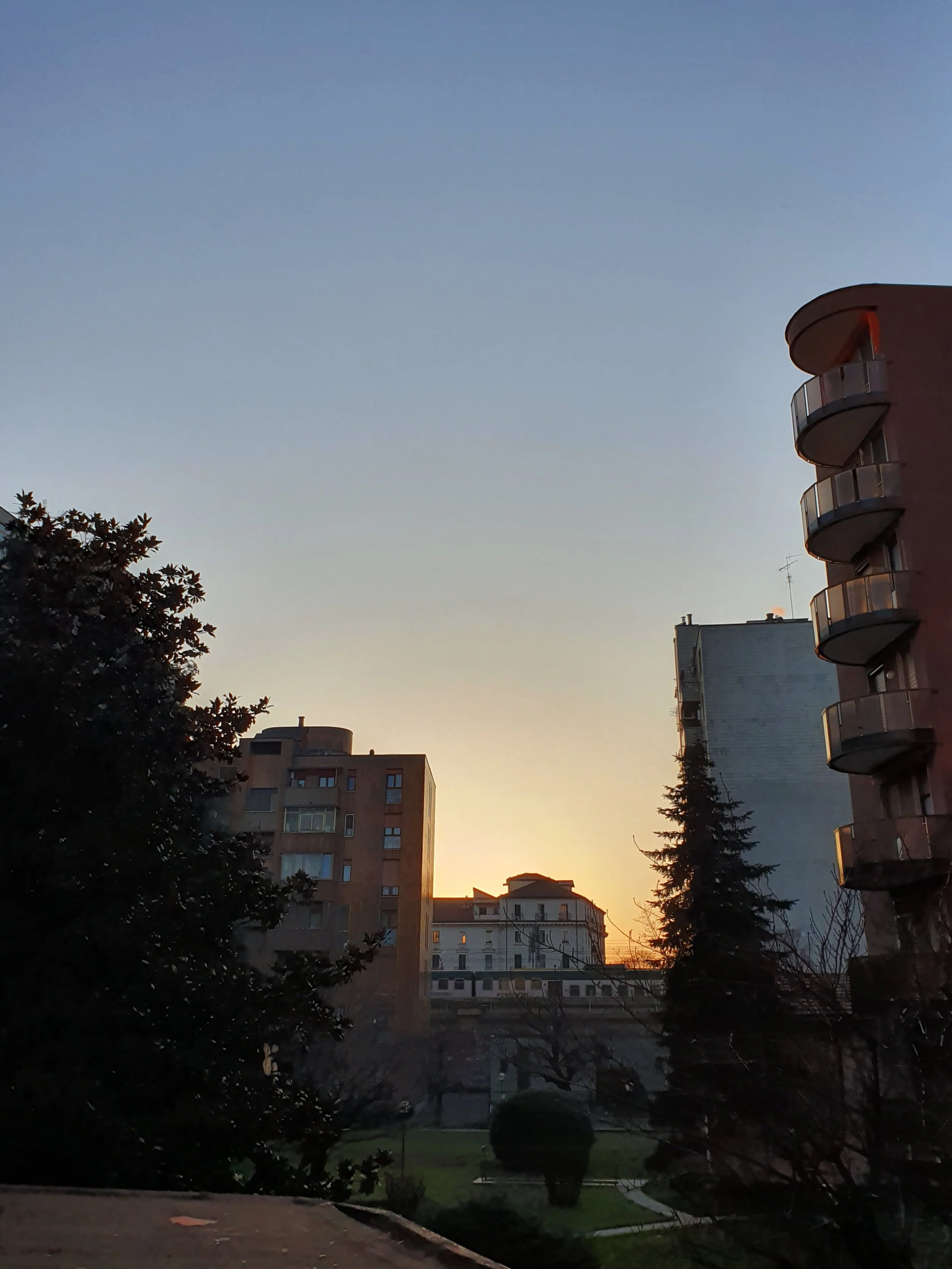 Desde mi ventana, 2020