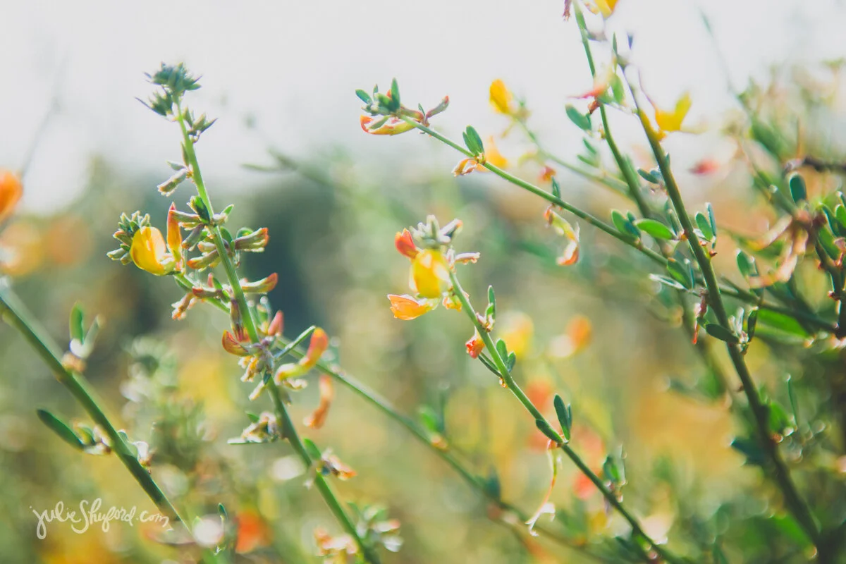 It's Spring!! Get outside!