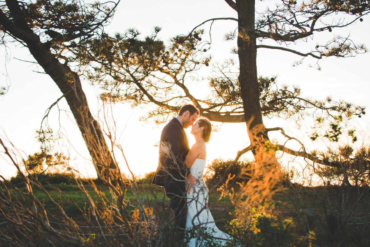 Ingrid + Eric's Sunset Cliffs Wedding
