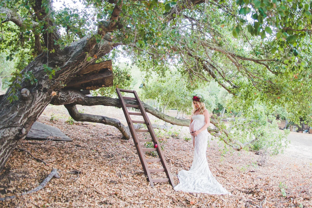 The Giving Tree Maternity Session