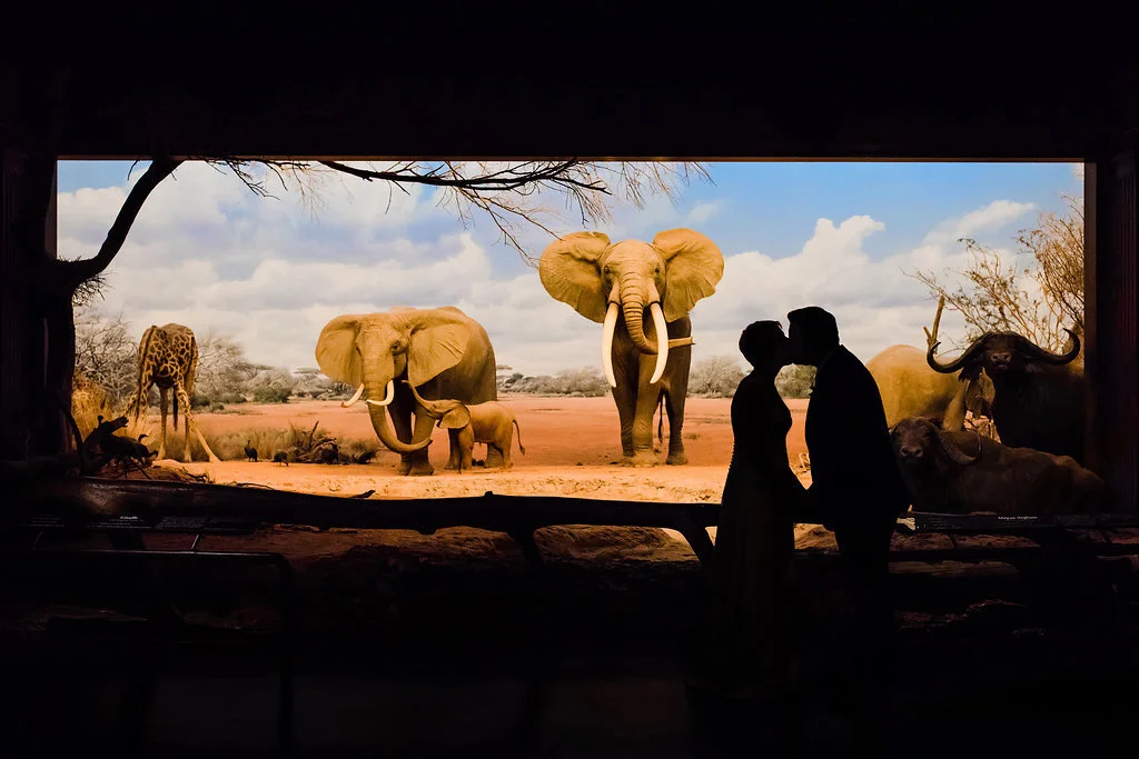 Los Angeles Natural History Museum Wedding