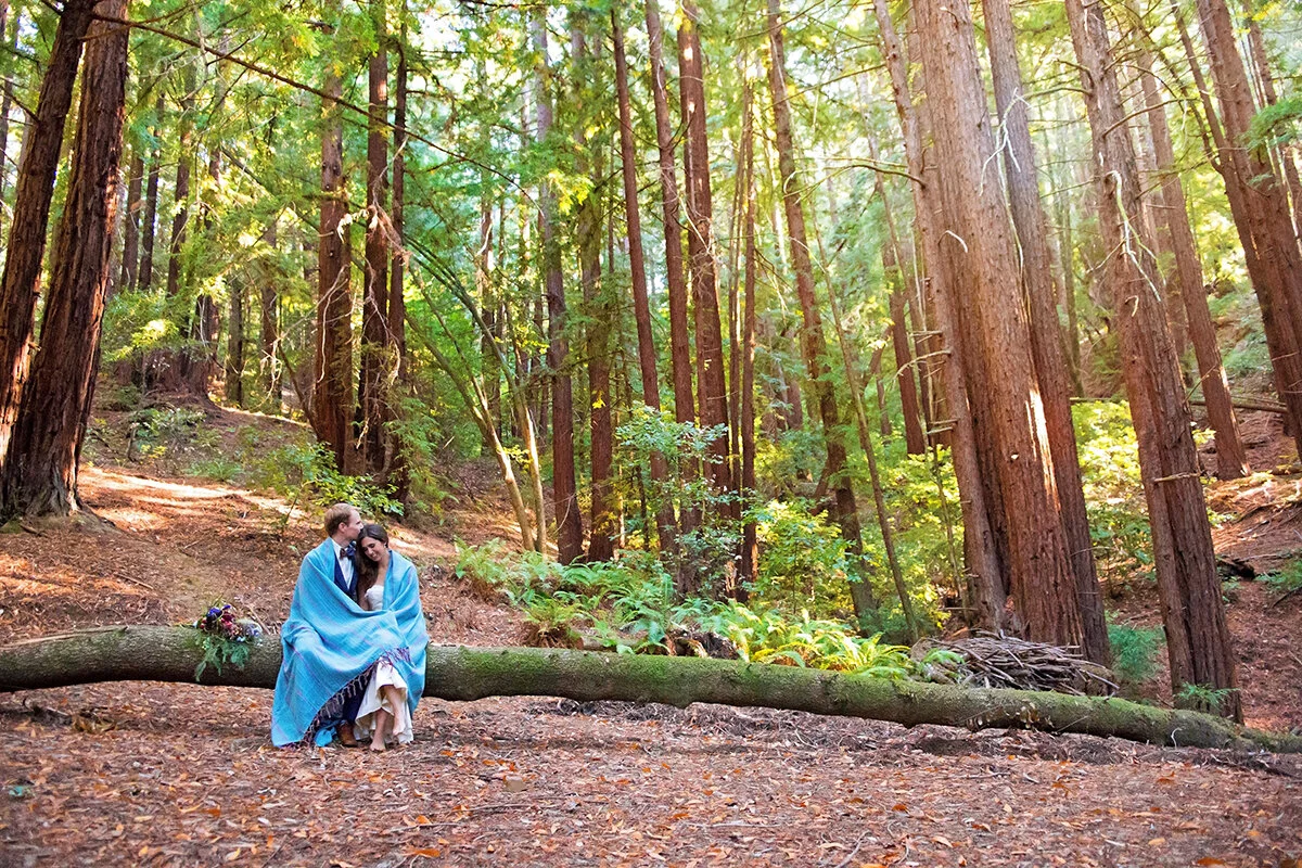 Charlene & Peter - Love in the Redwoods
