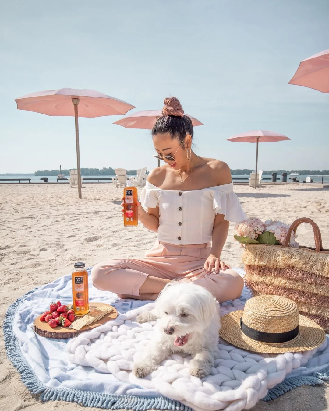 Influencer Agency in Toronto