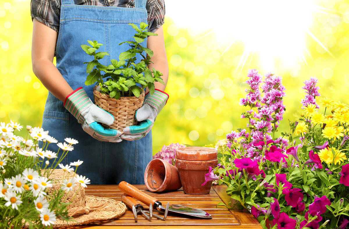 Gardening for Kids: Why Personalization and Experience Matter