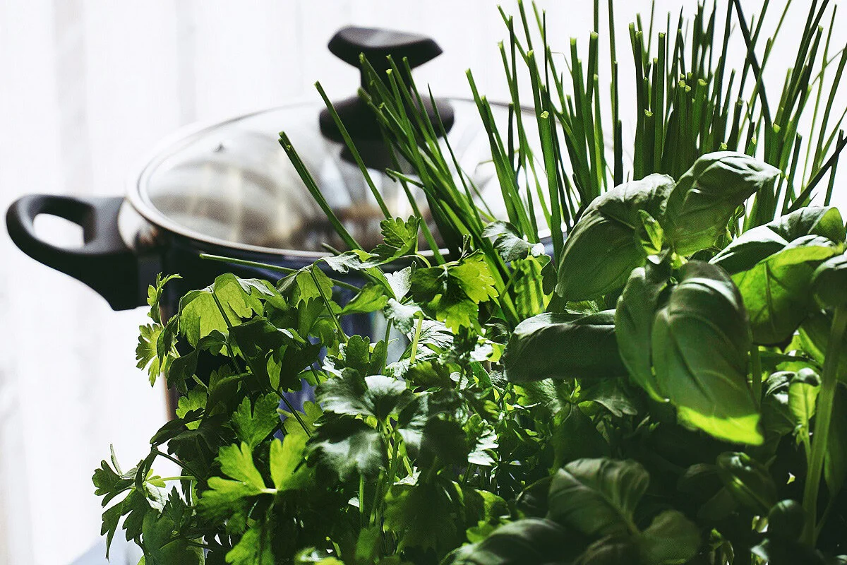 For the Home Chef: Starting an Herb Garden
