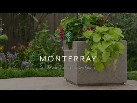 1583 Live Plants Video Reel