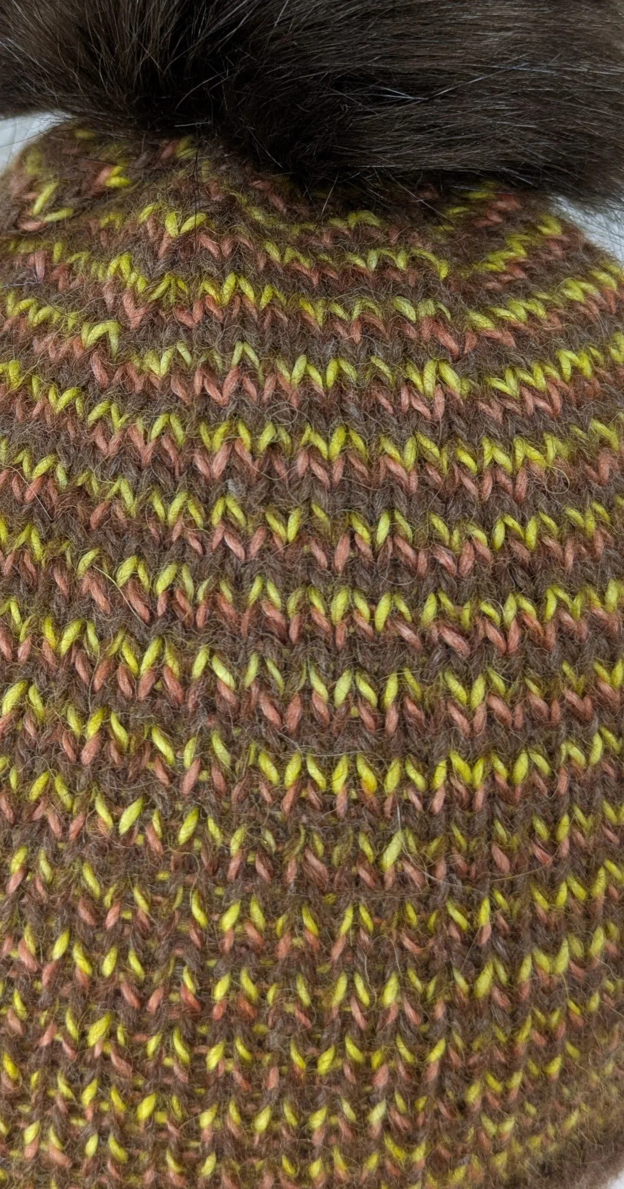 PXL_20251121_150850858.jpg