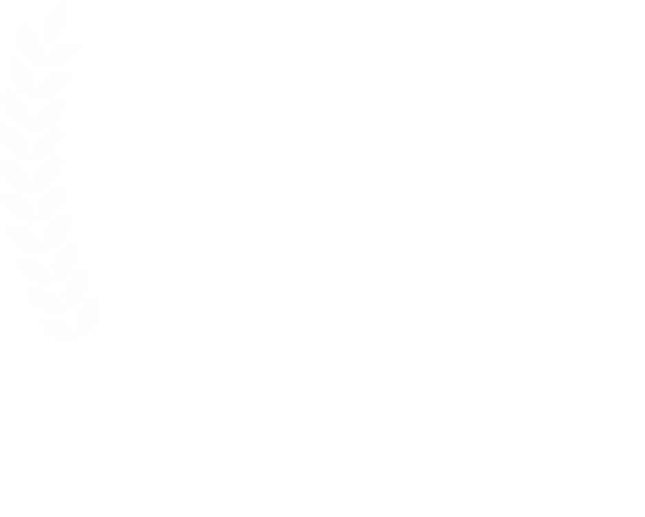 The Levites Academy