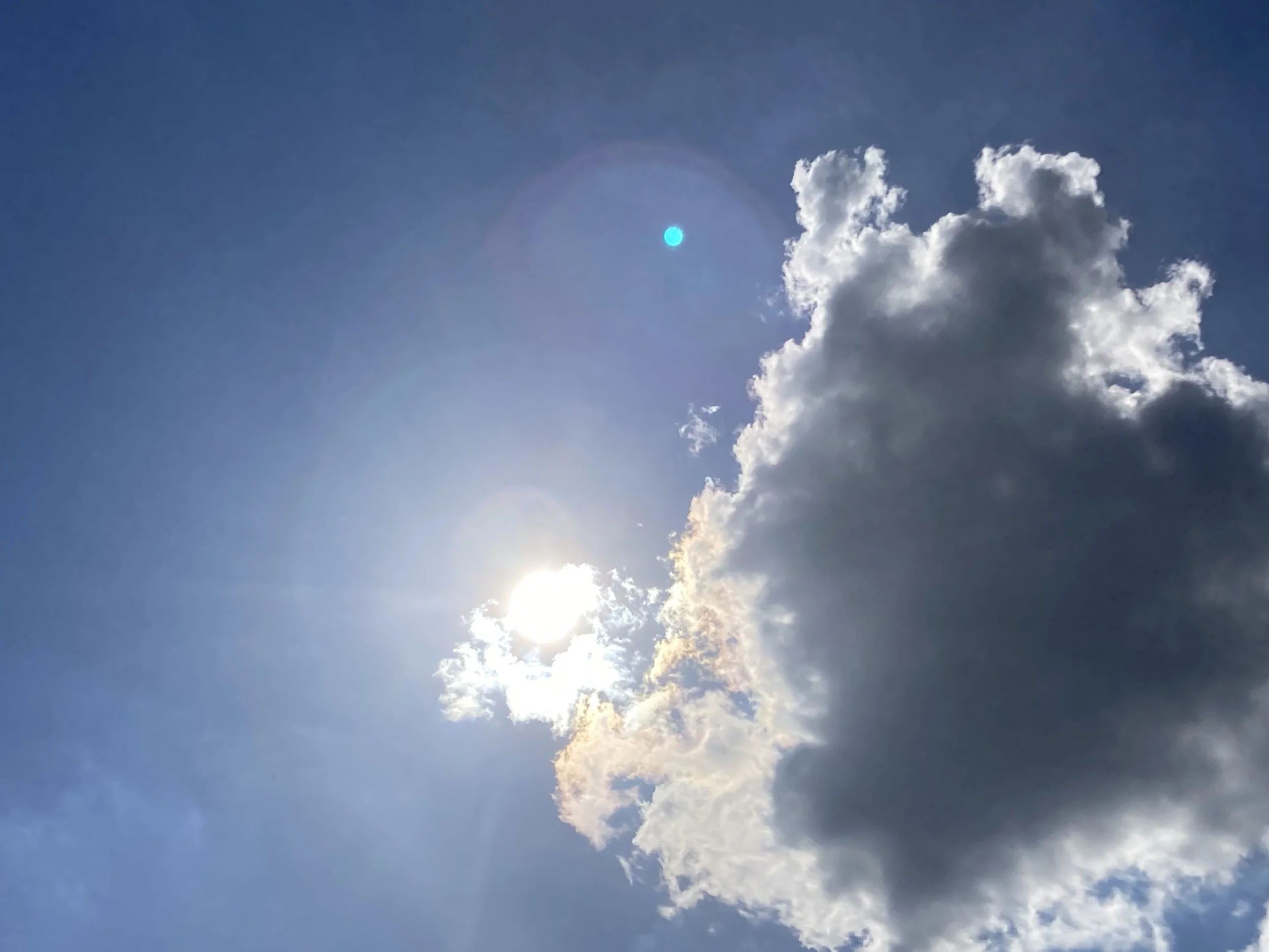 The Alchemy of Summer