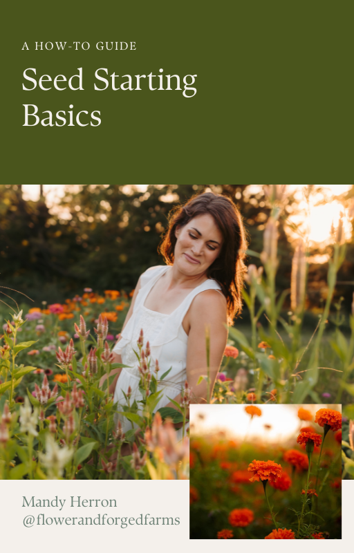 Olive Green Neutral Declutter Simple Living How To Guide Ebook Cover.png