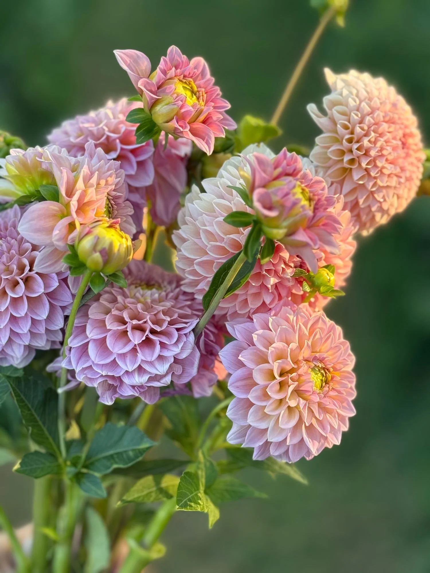 RRA and Linda's Baby.jpeg