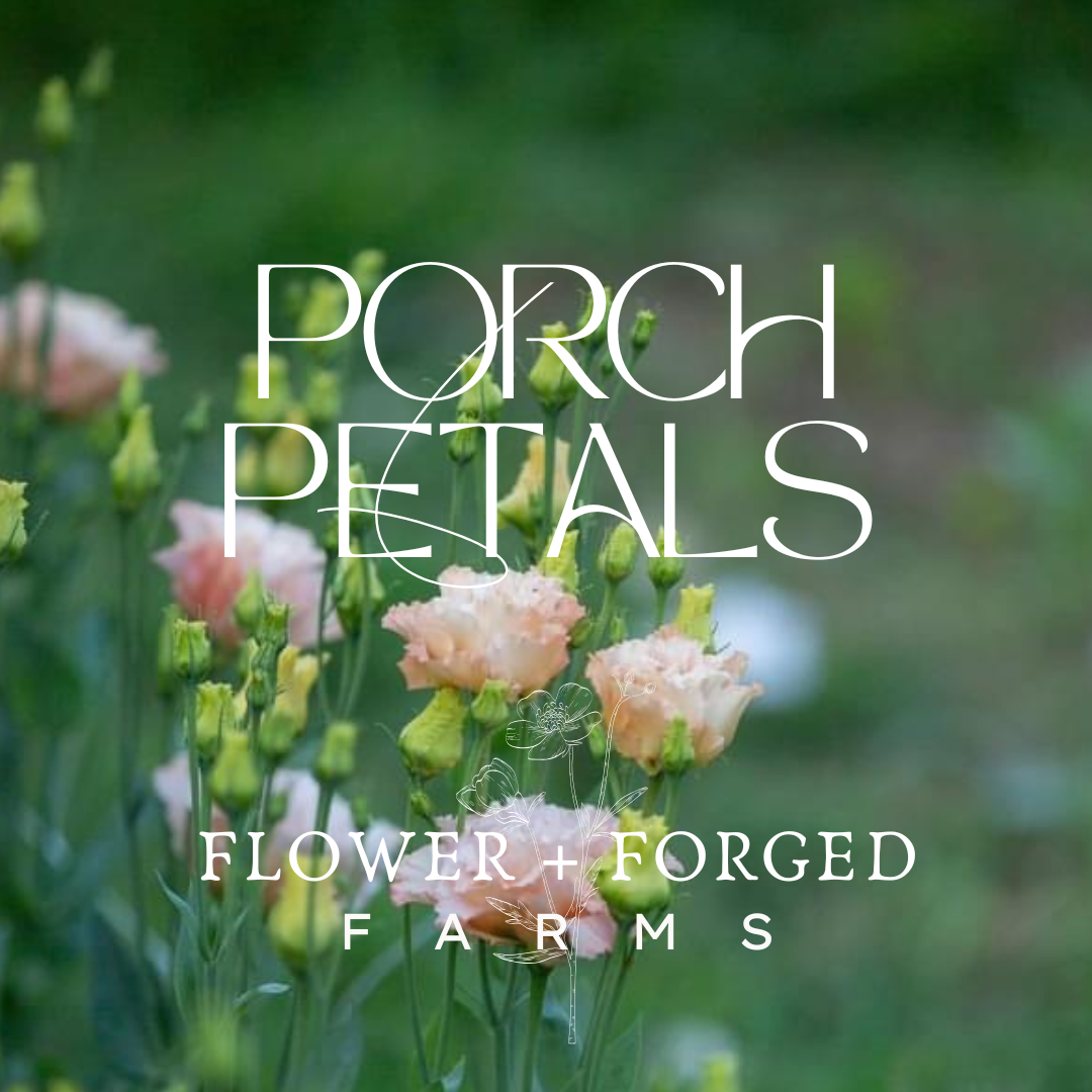 Porch Petals (Locals Only)