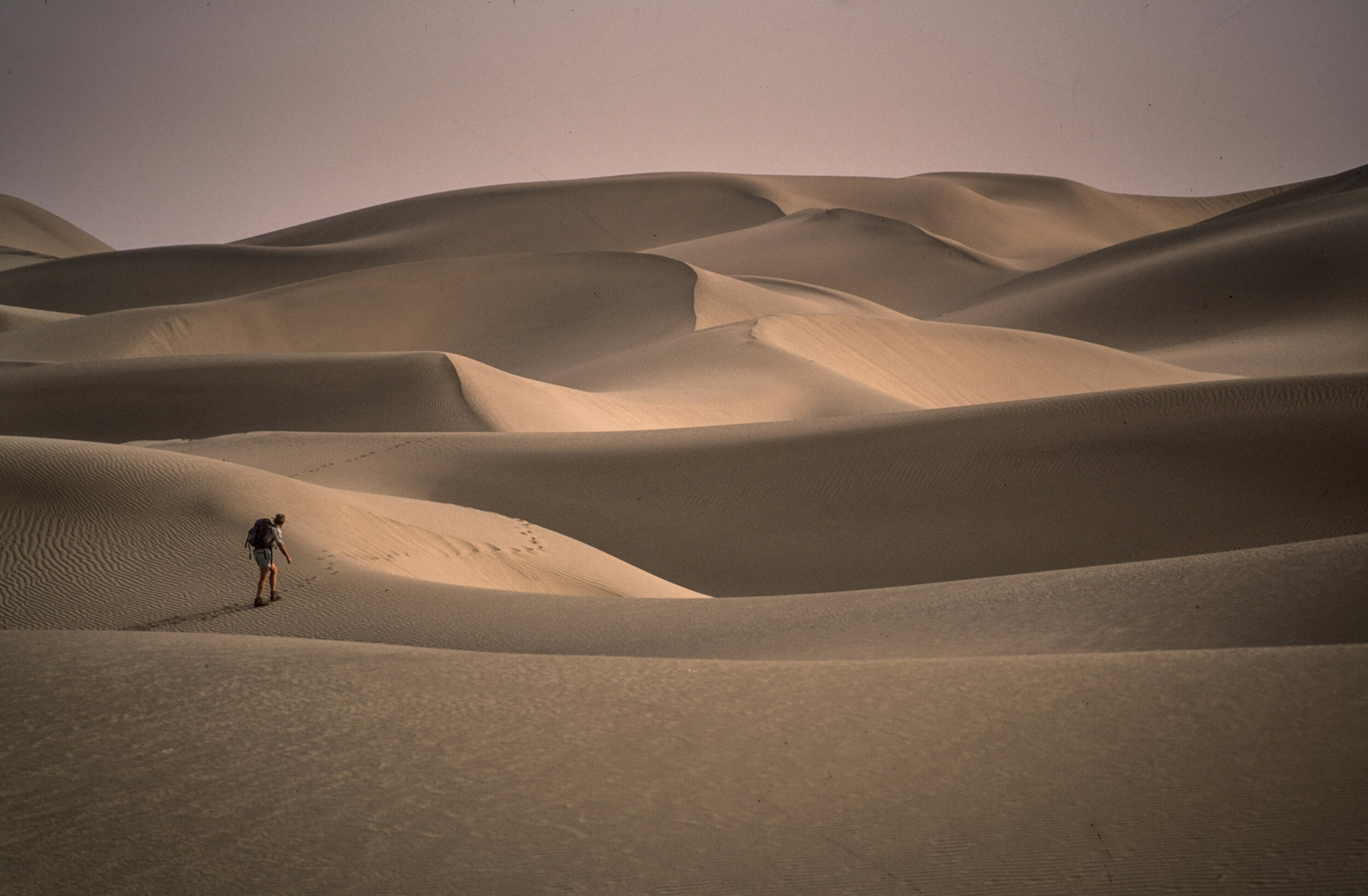  Carolyn alone in the dunes. 