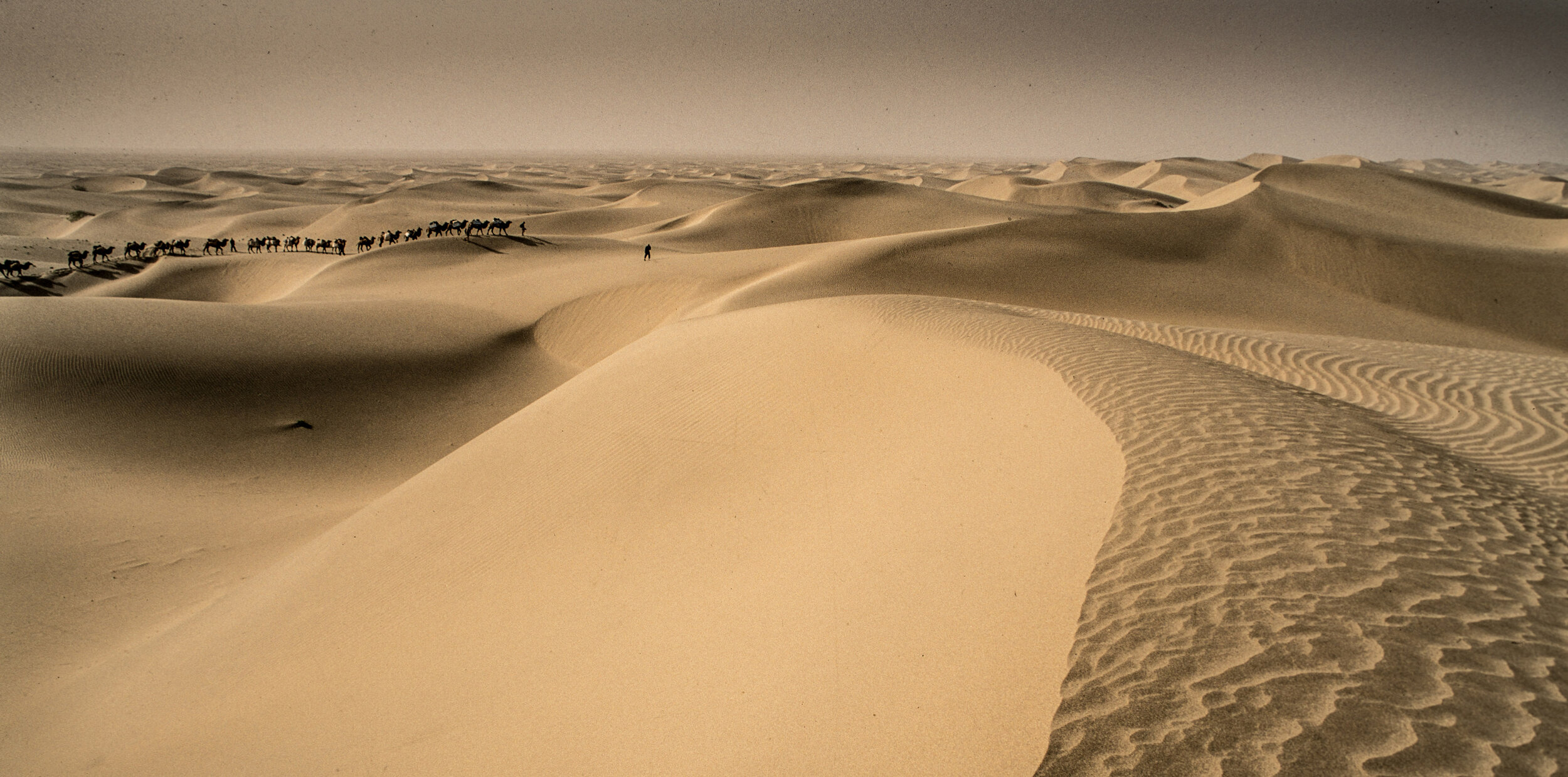  The Taklamakan Desert is the second largest sea of sand in the world. Only the Sahara is larger.  