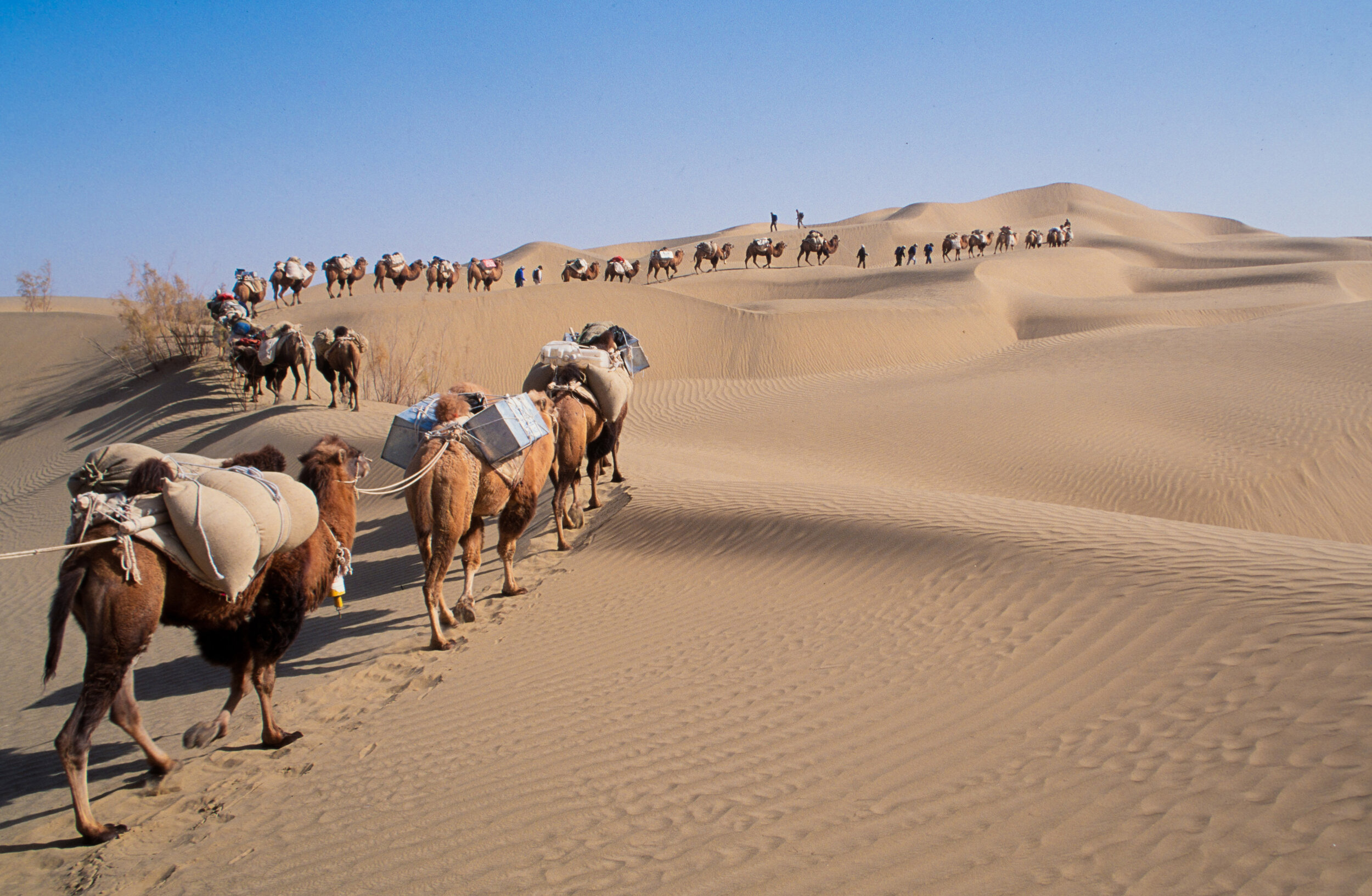  In the morning the caravan would start off together but as the day wore on groupings of around 7 camels and several team members would start spreading out over the route chosen by the days navigator.  