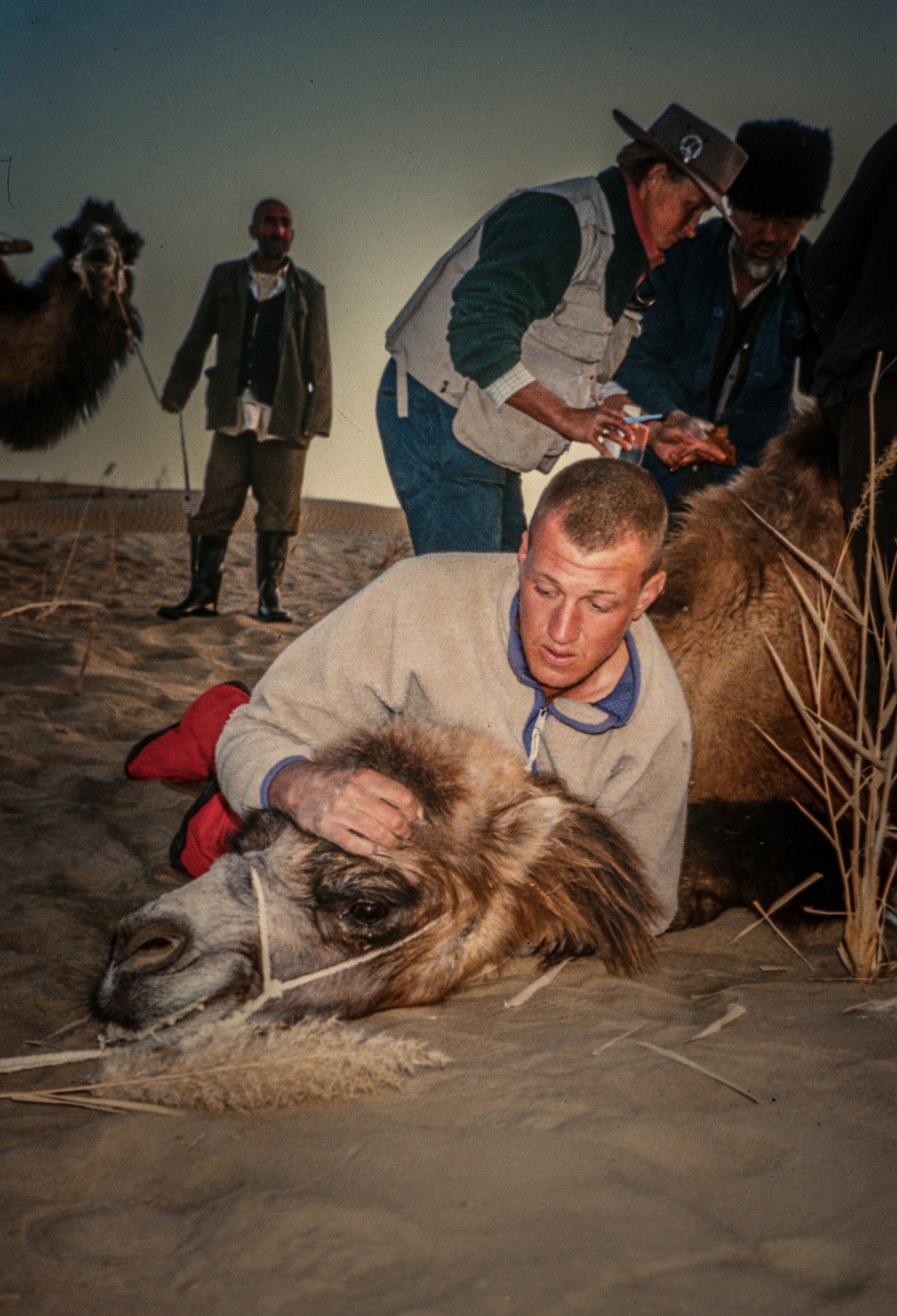  Rupert steadies a camel as Carolyn our team nurse and honorary vet, took the scalpel to an infected wound on a camel.  