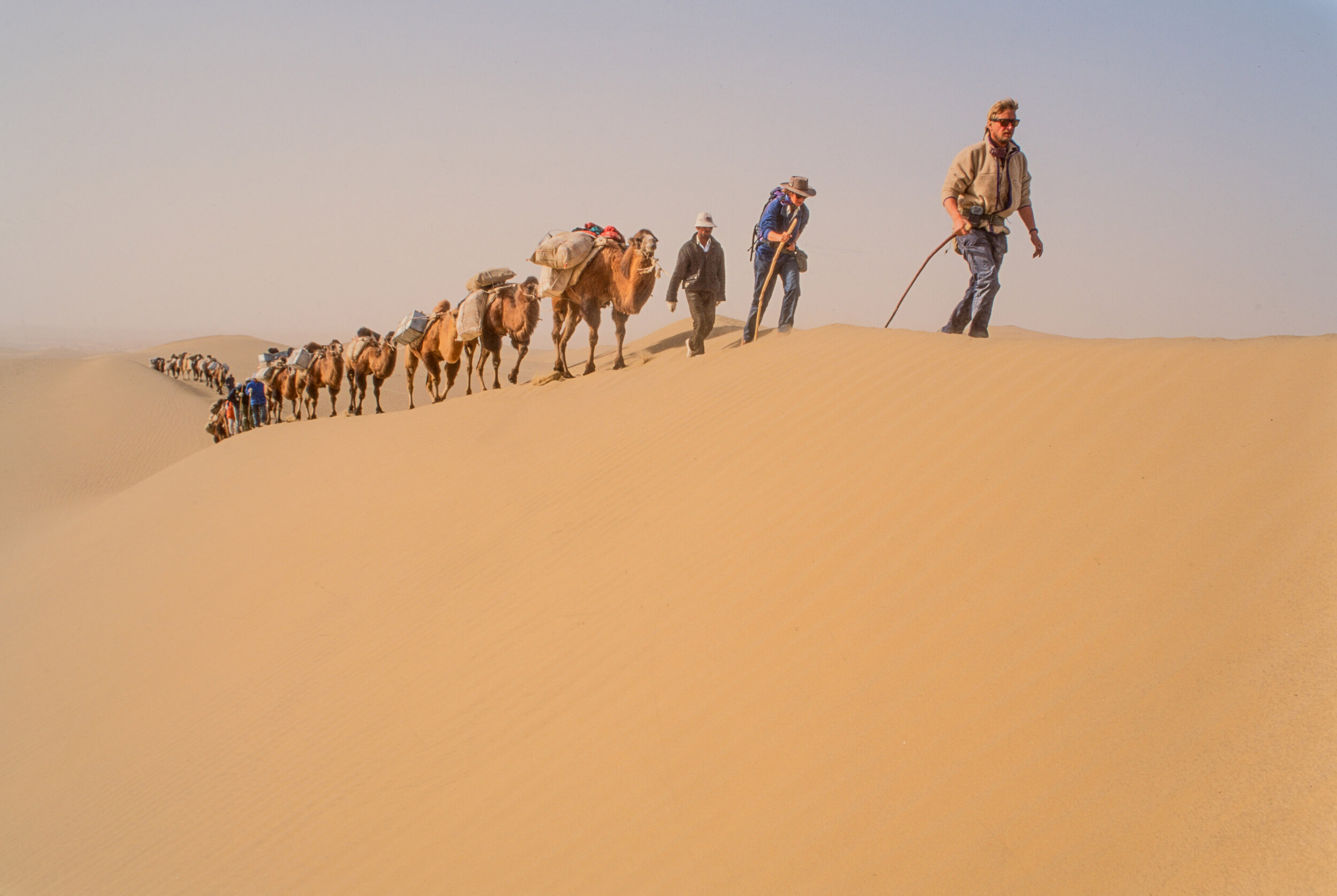  After a month in the desert the camel train was running pretty efficiently.  
