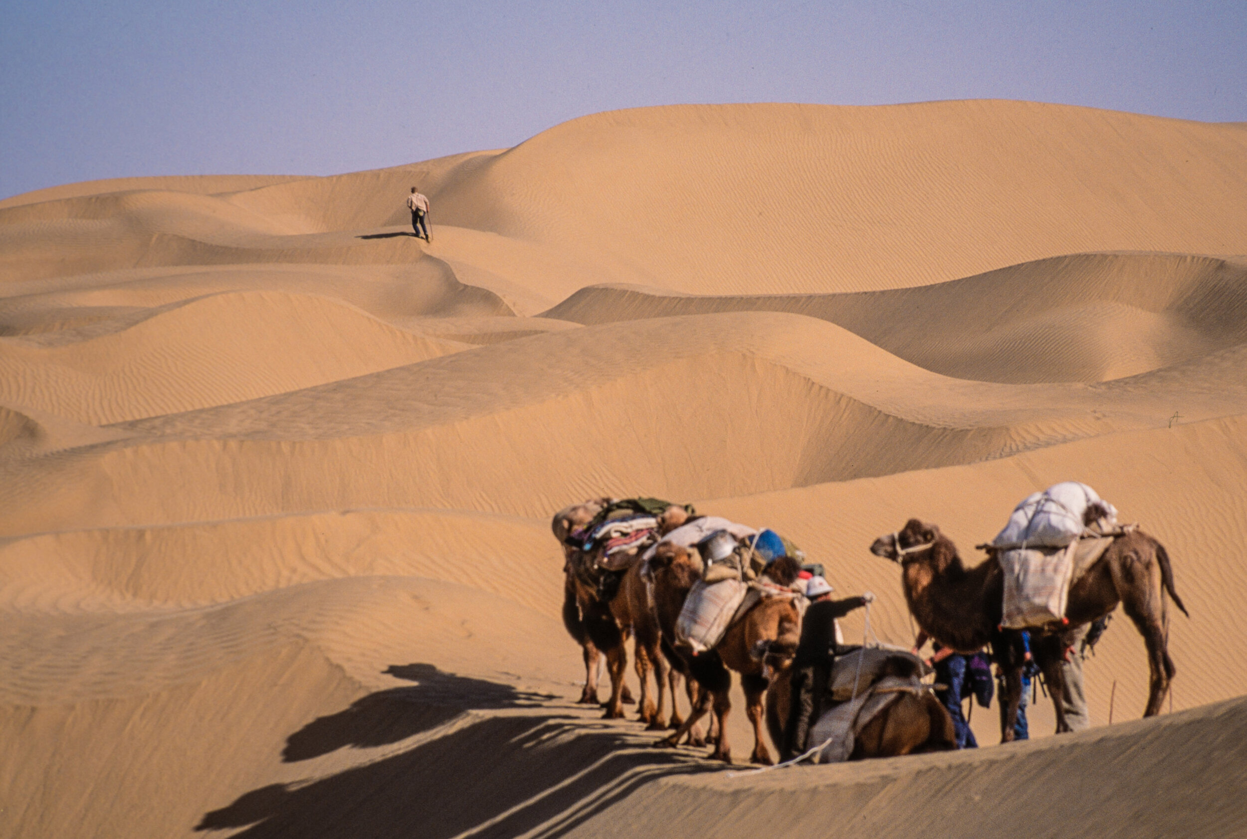  Charles navigates a path through a tricky section of dunes. 