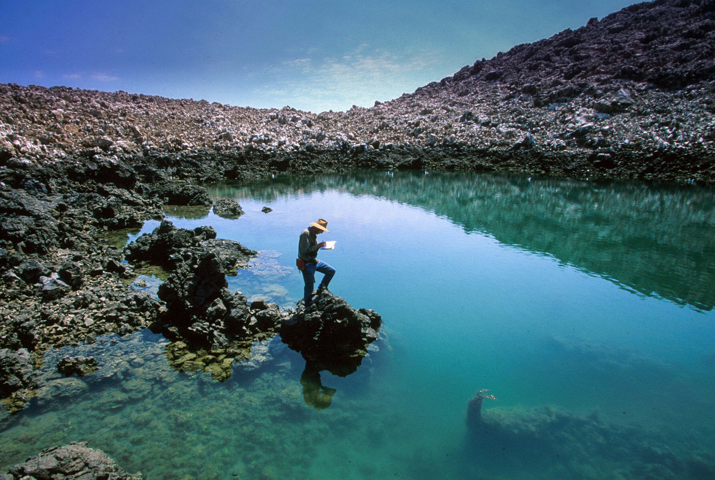  Brian taking notes on the tidewater lagoon on the northern end of Isla San Luis. 