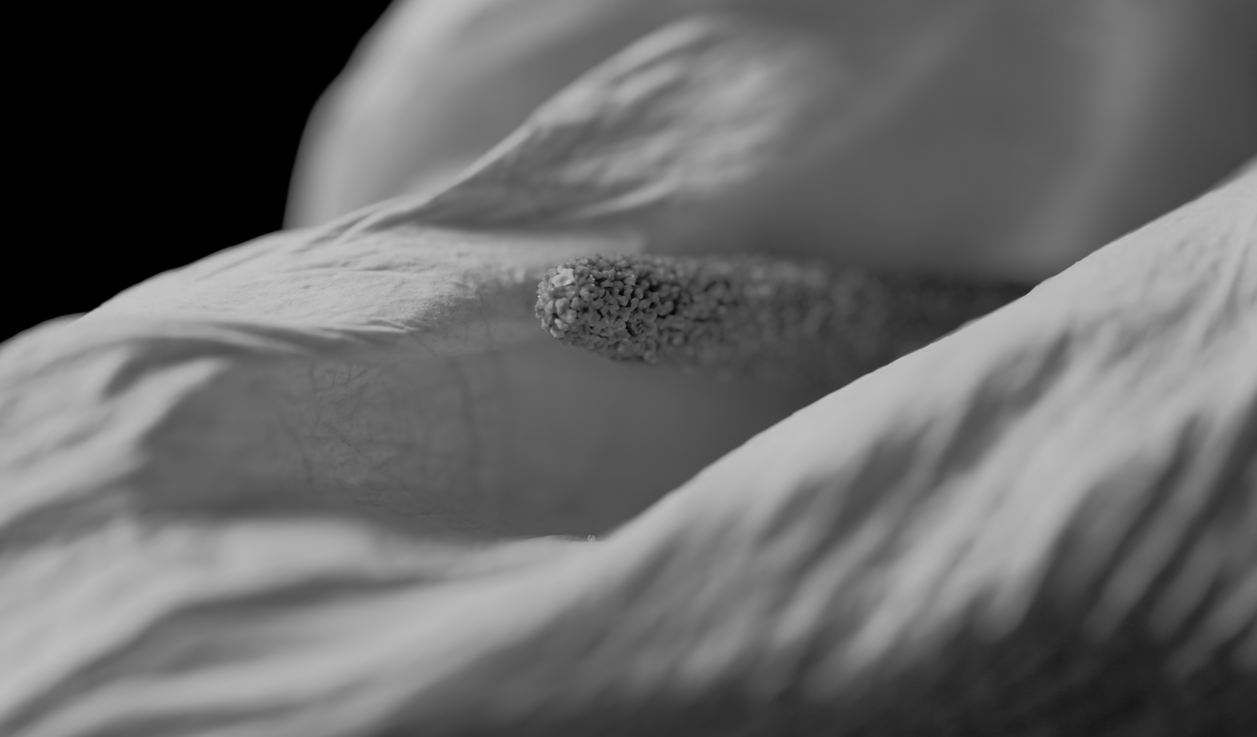 The Grace of Age