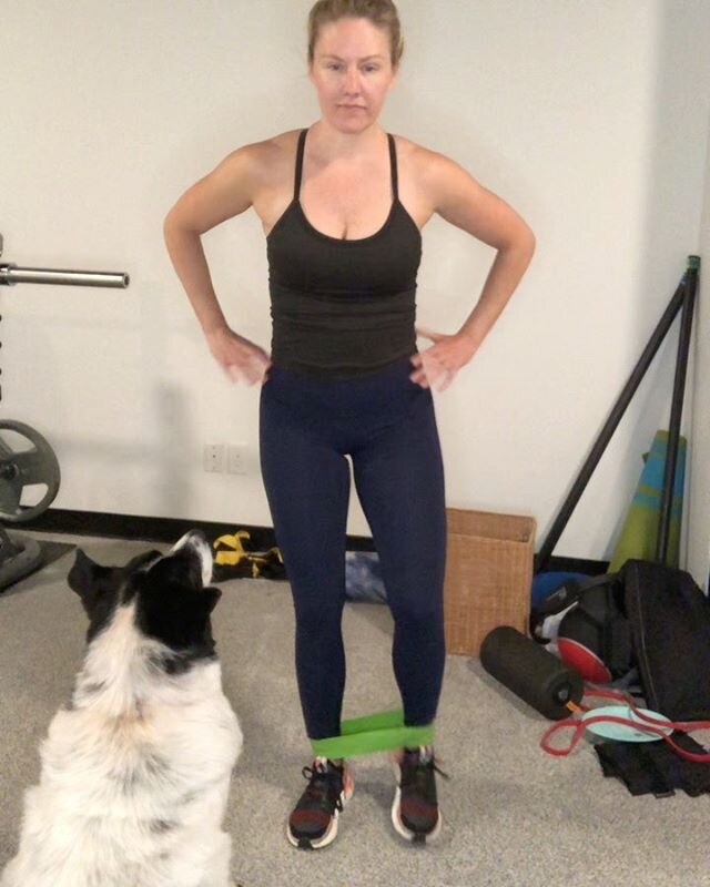 Band only workout with Coach Brandon Bonner 🐶💪🏻. I&rsquo;m using a medium resistance band. Try 3 rounds!
1.  Glute kicks back, side and forward x10 each side. Hold onto a chair or wall if you need to. 
2. Lateral steps x30. Core braced, hinge at y