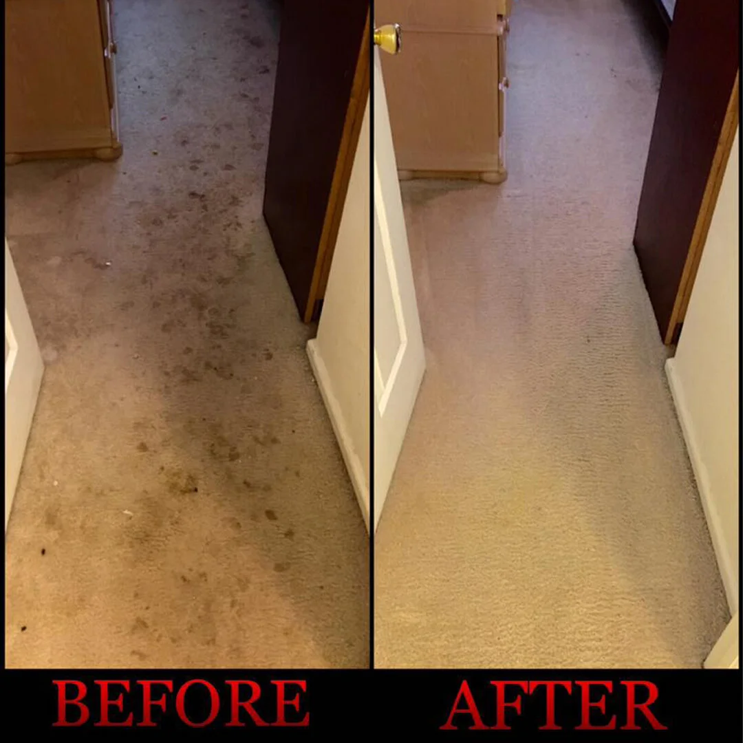 Capret cleaning before and after - new-1.jpg