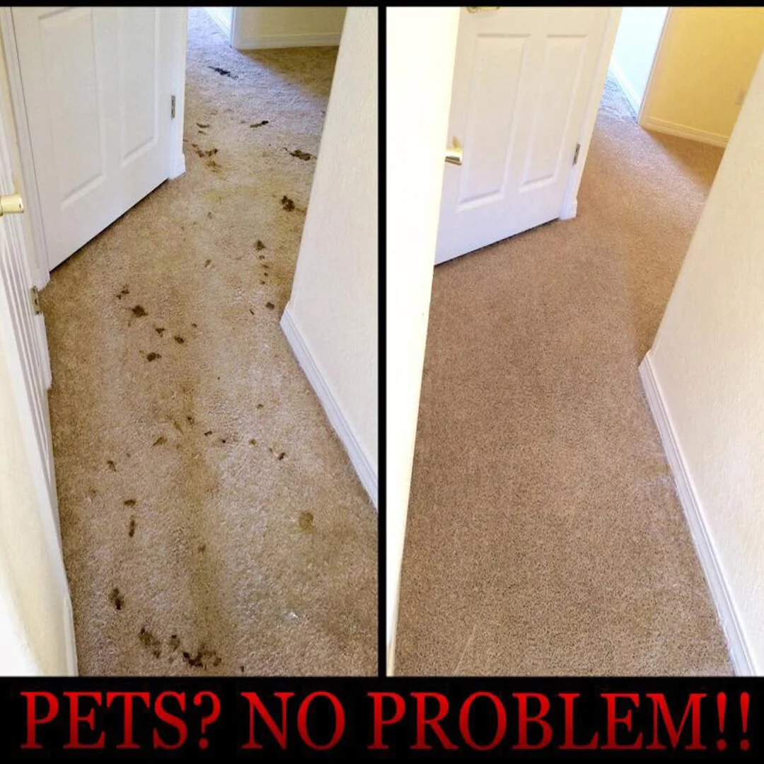 CARPET CLEANING BEFORE AND AFTER NEW 6.jpg