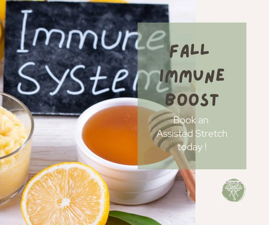 Fall Immune Boost⁠
⁠
Did you know Thai massage can support your immune system? ⁠
⁠
By improving circulation and reducing stress, it helps your body stay strong as the seasons change. ⁠
⁠
Add it to your fall wellness plan! ⁠
⁠
⁠
⁠