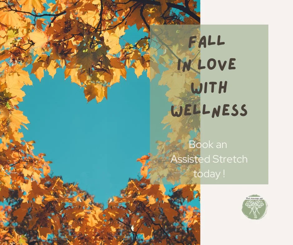 Fall in Love with Wellness⁠
⁠
Make Thai massage your fall must-have! ⁠
⁠
From stress relief to better mobility, it&rsquo;s the ultimate way to nurture your body and mind as you settle into the season. ⁠
⁠
Book today! Link to book in bio. ⁠
⁠
⁠
⁠