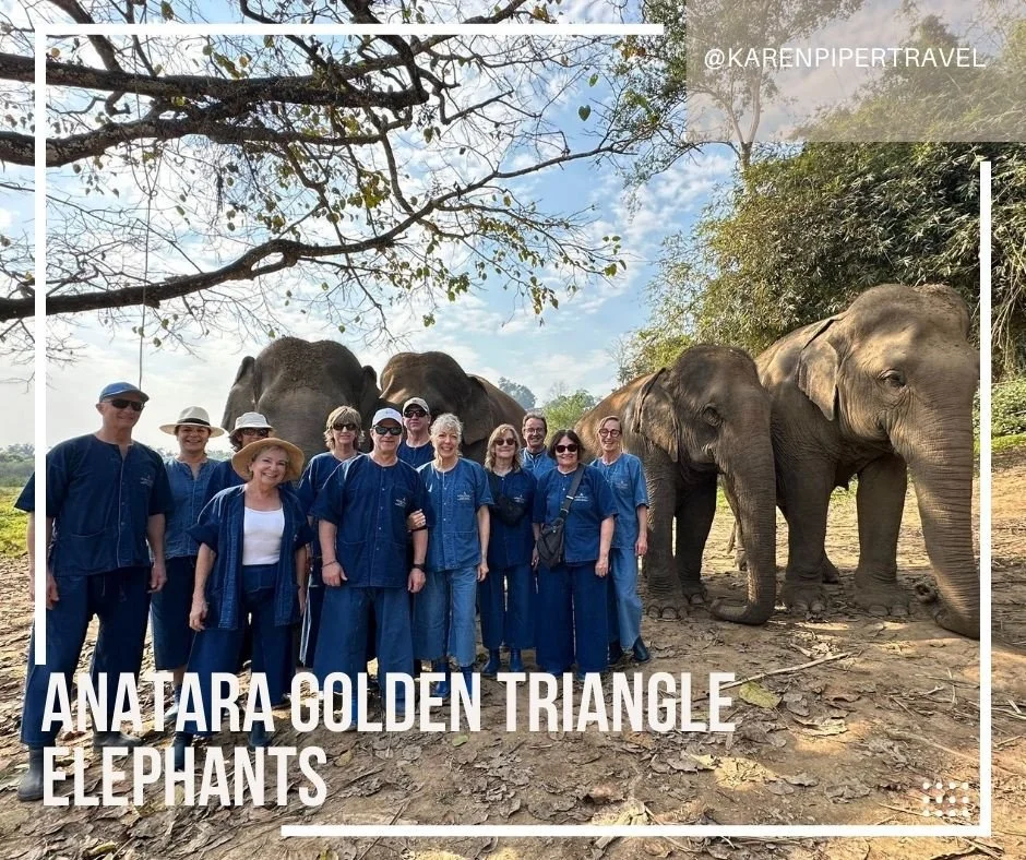 Anantara Golden Triangle | Time with the Elephants 🐘💚⁠
⁠
We spent four unforgettable nights at Anantara Golden Triangle.⁠
And every day with the elephants felt like a gift.⁠
⁠
We walked with them.⁠
Picnicked together.⁠
Hiked through the jungle at t
