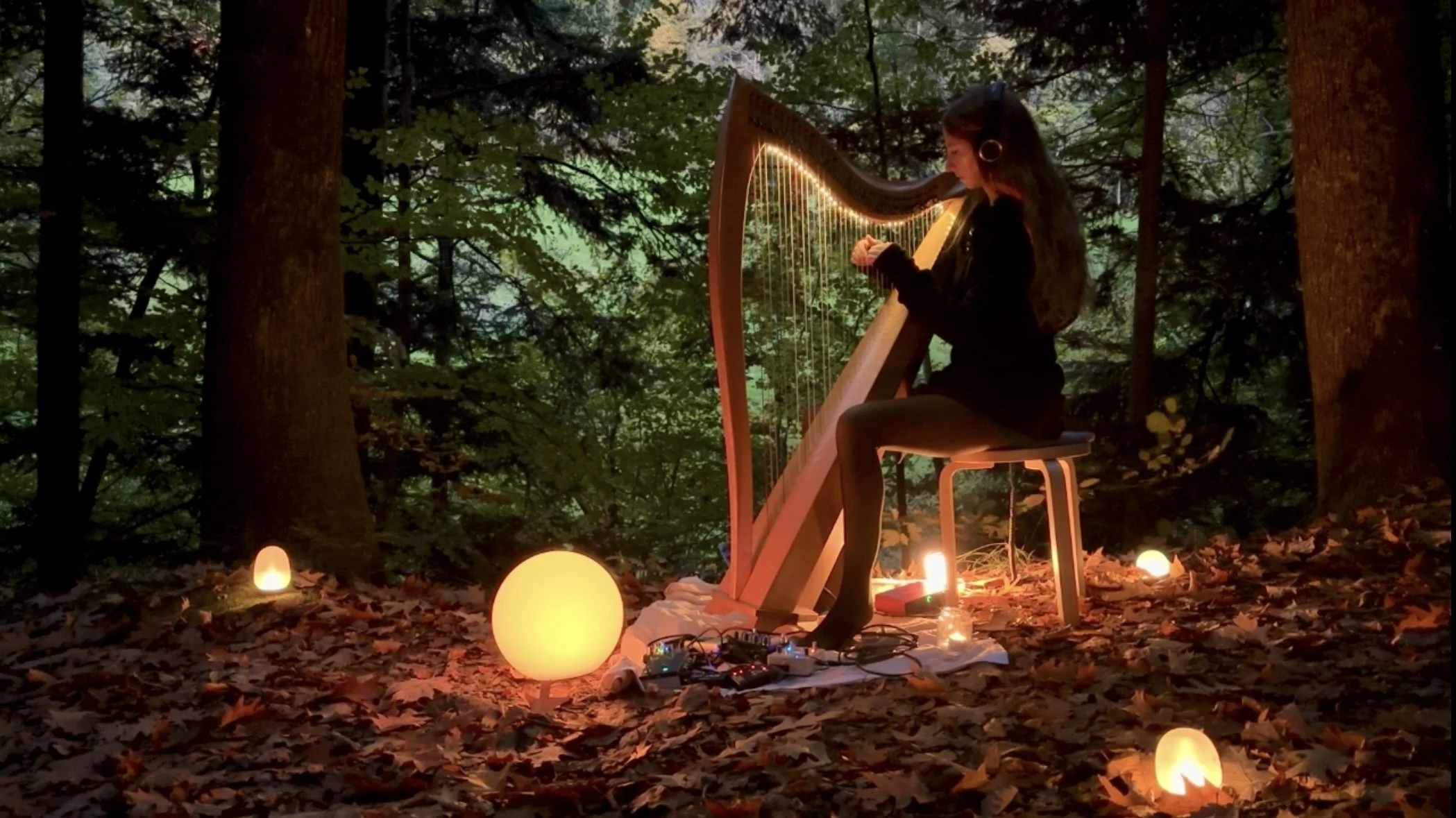 dark forest harp large pic.jpg
