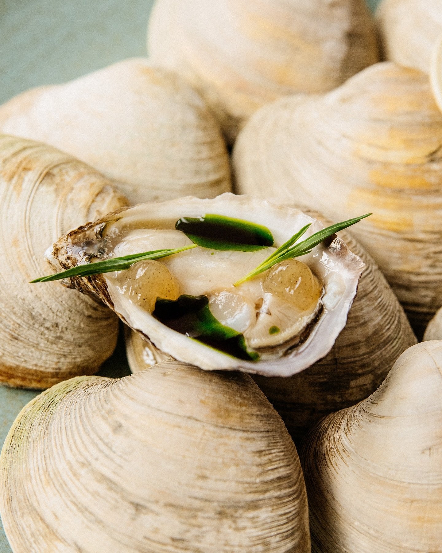 🦪 
&bull;
oyster - tarragon - vanilla - horseradish
Top neck clam - walnut milk - coriander - capers
&bull;
Chef: @nazarenomayol
Restaurant: @fulgurances_laundromat