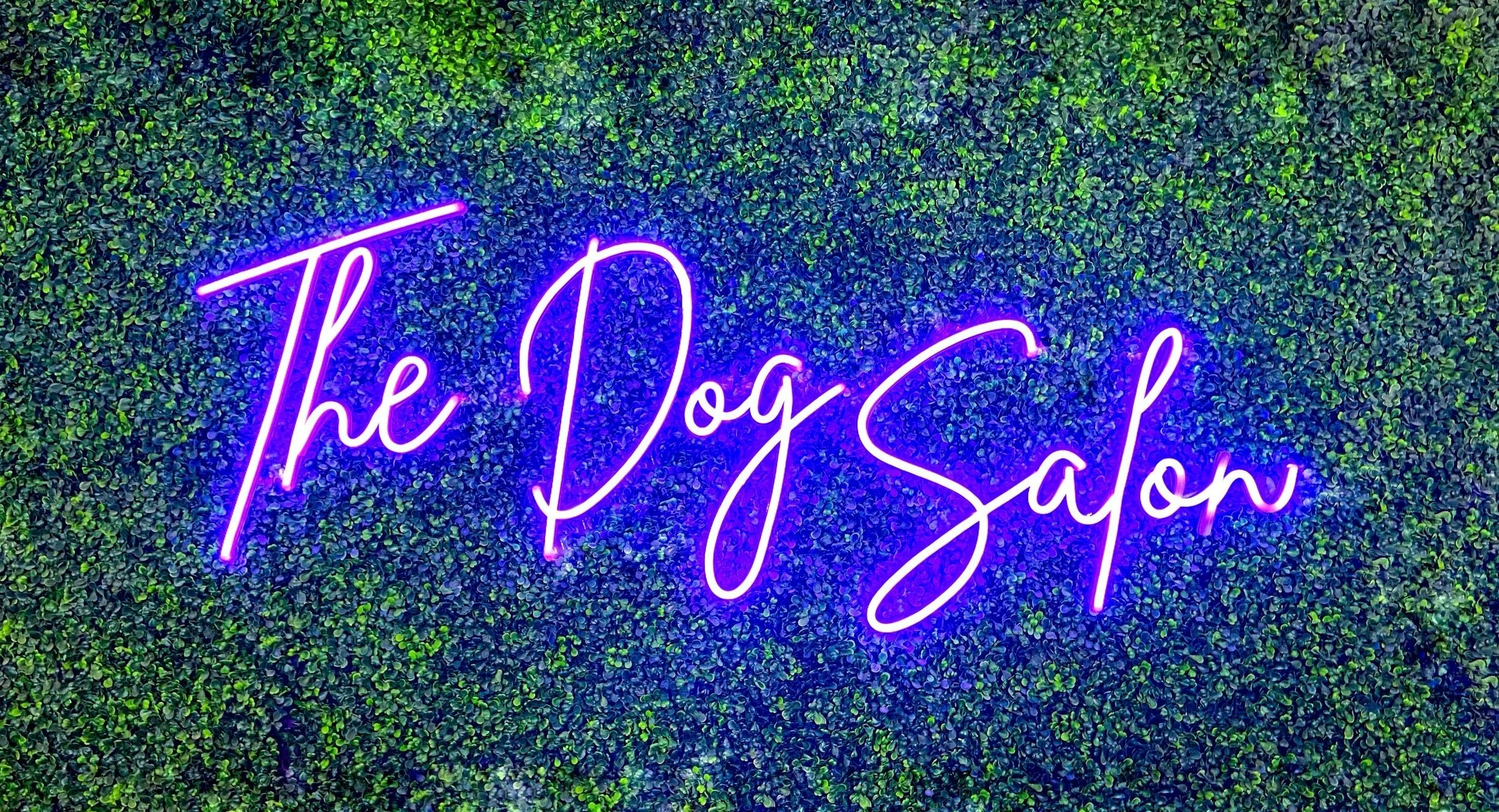 The Dog Salon