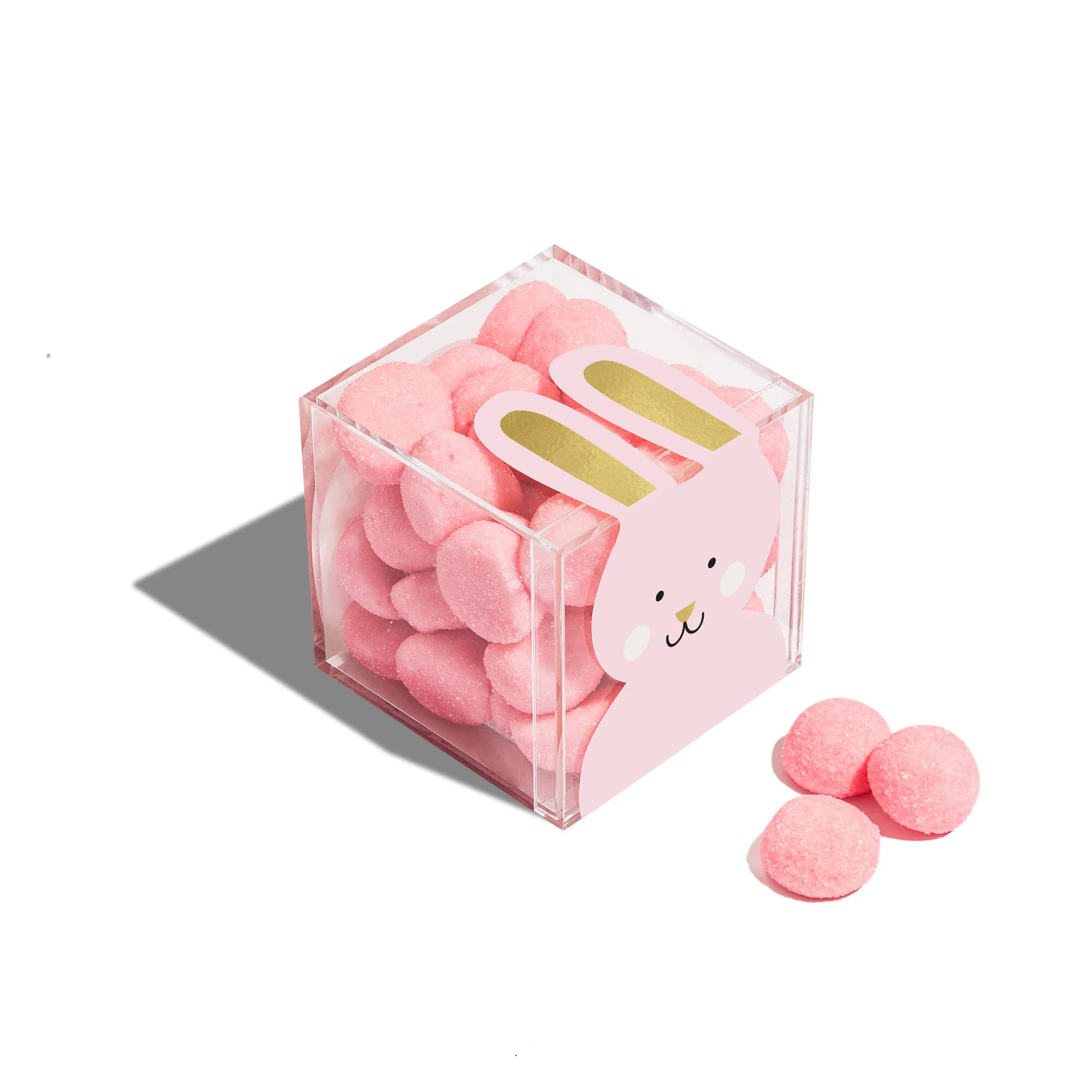 The Easter Bunny's Coming Babes
