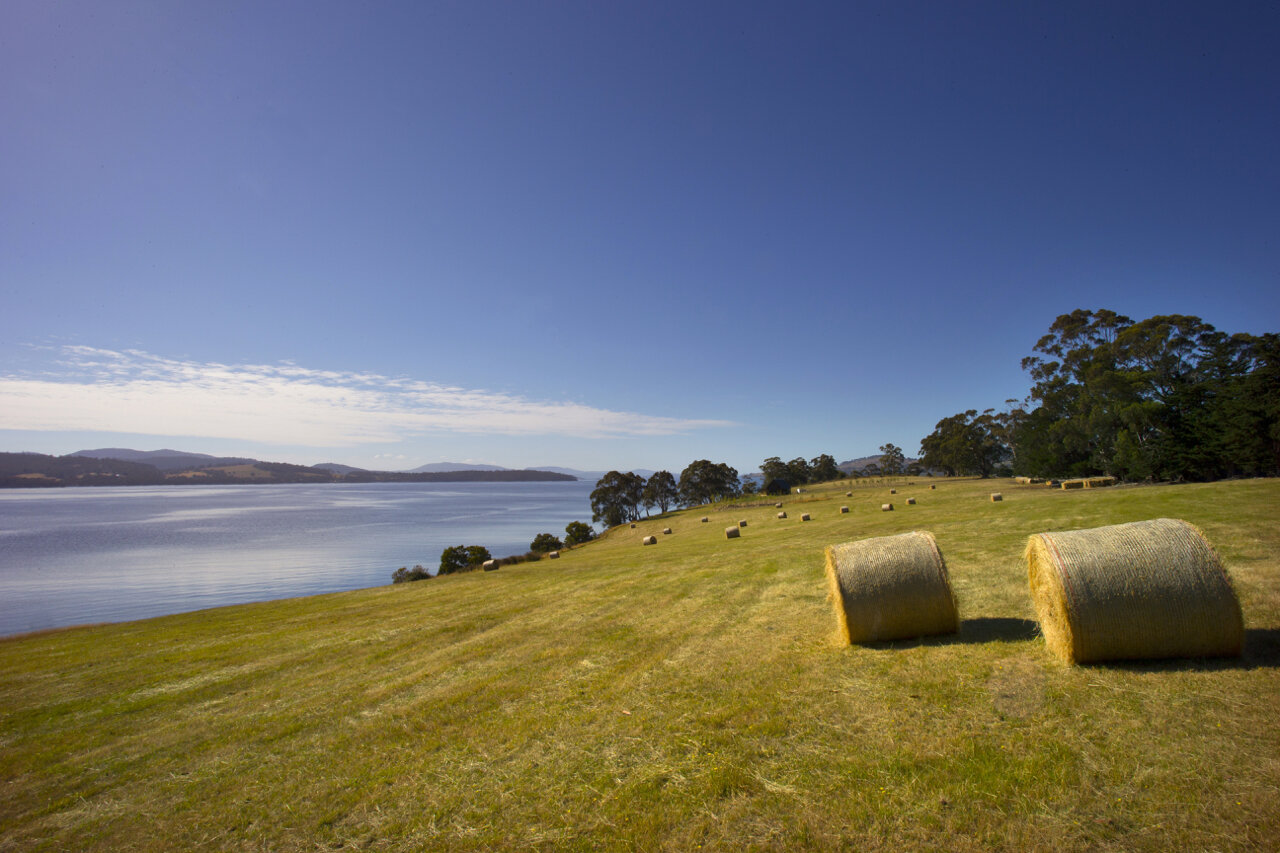 Gallery — Coast House Tasmania