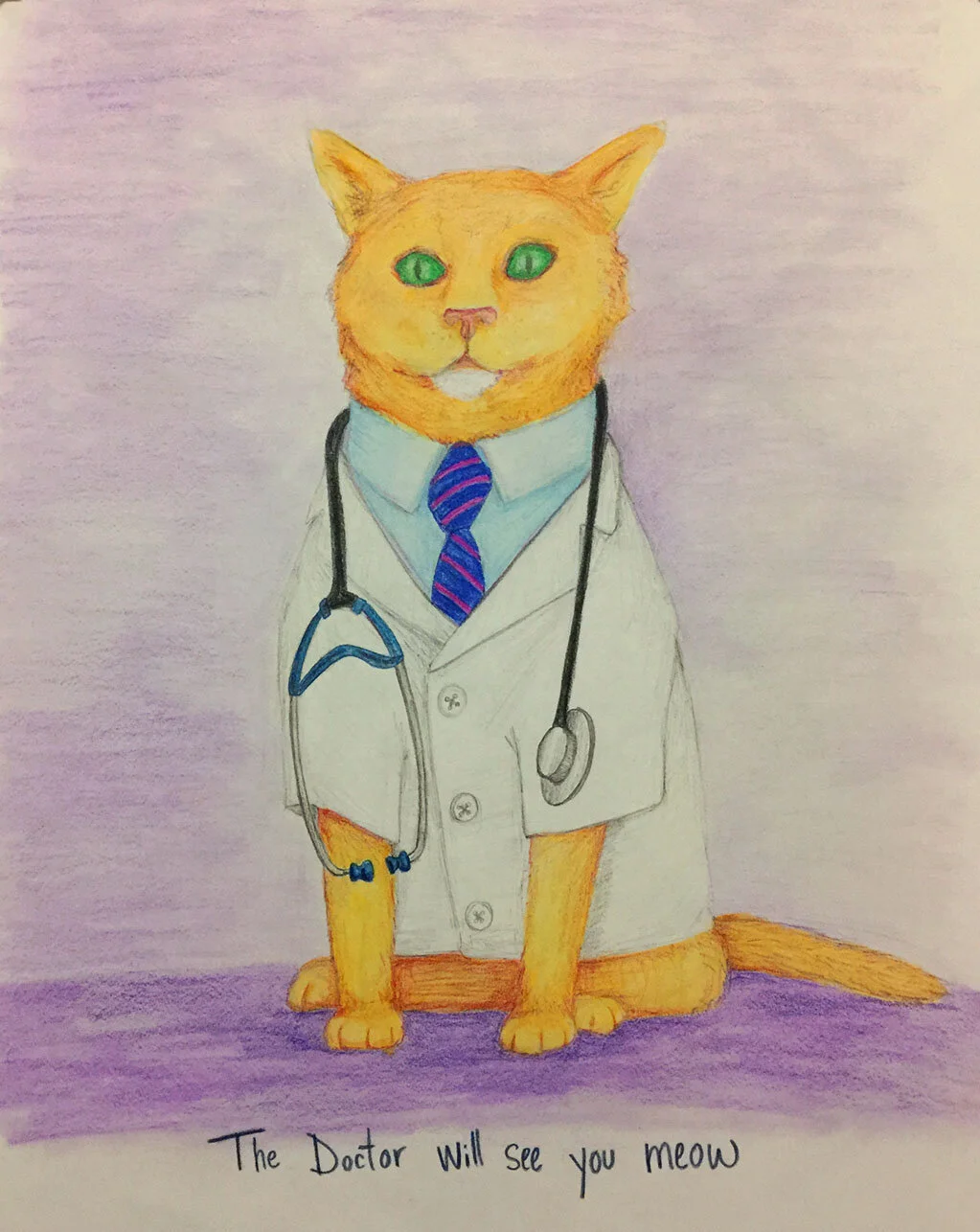 The Dr Will See You Meow 
