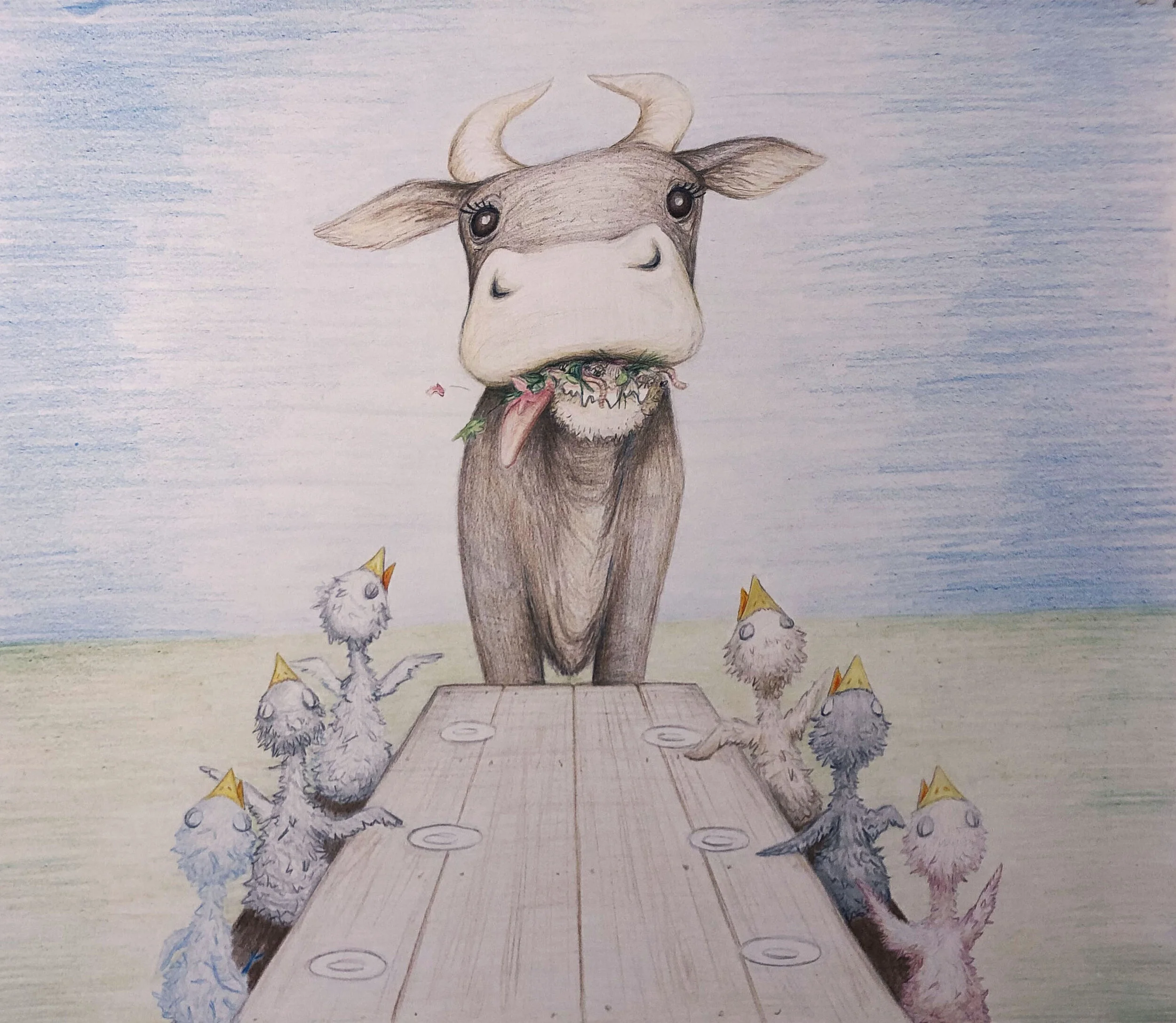 Volunteer at the bird orphanage