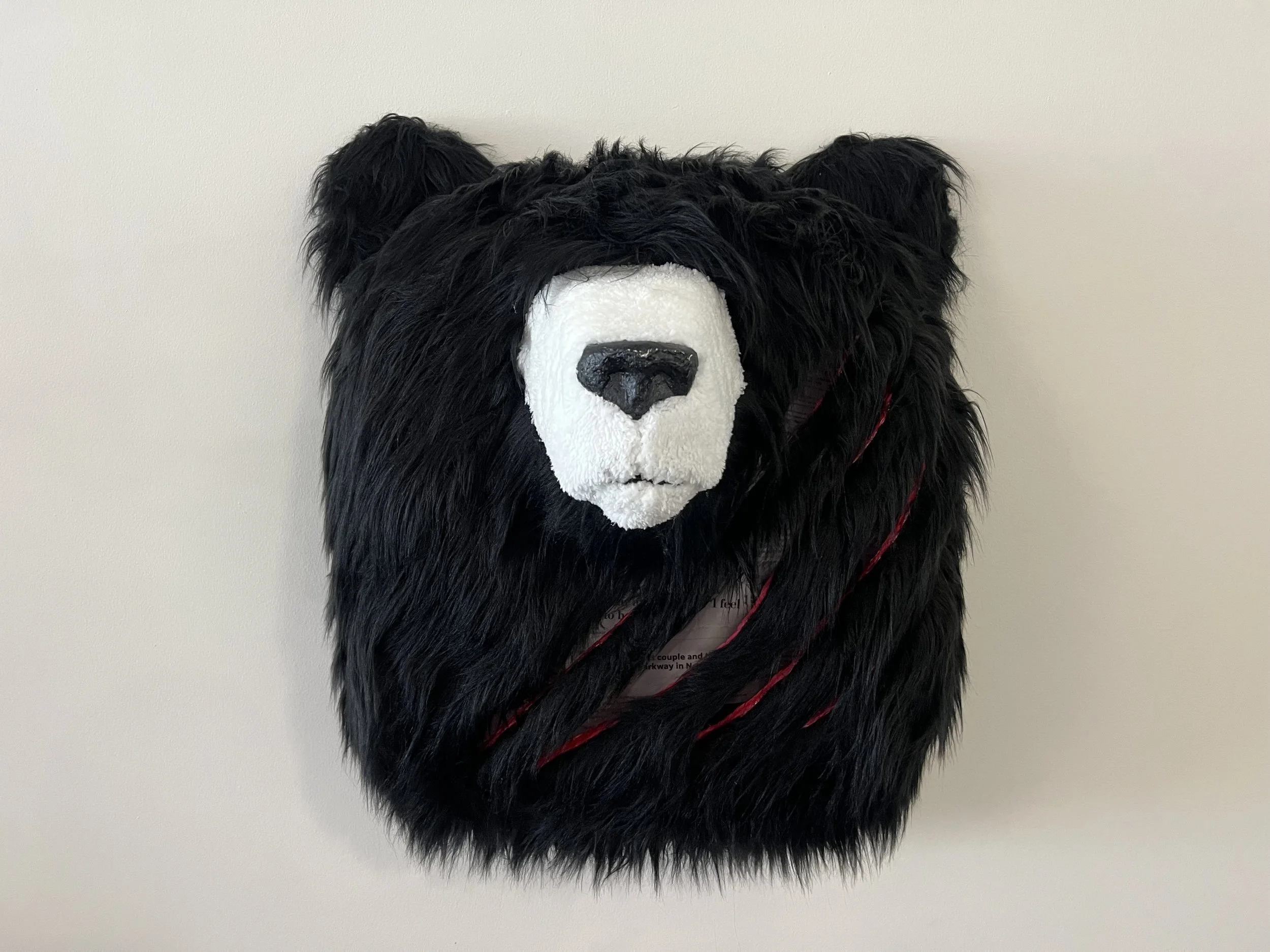 Bears are dangerous!