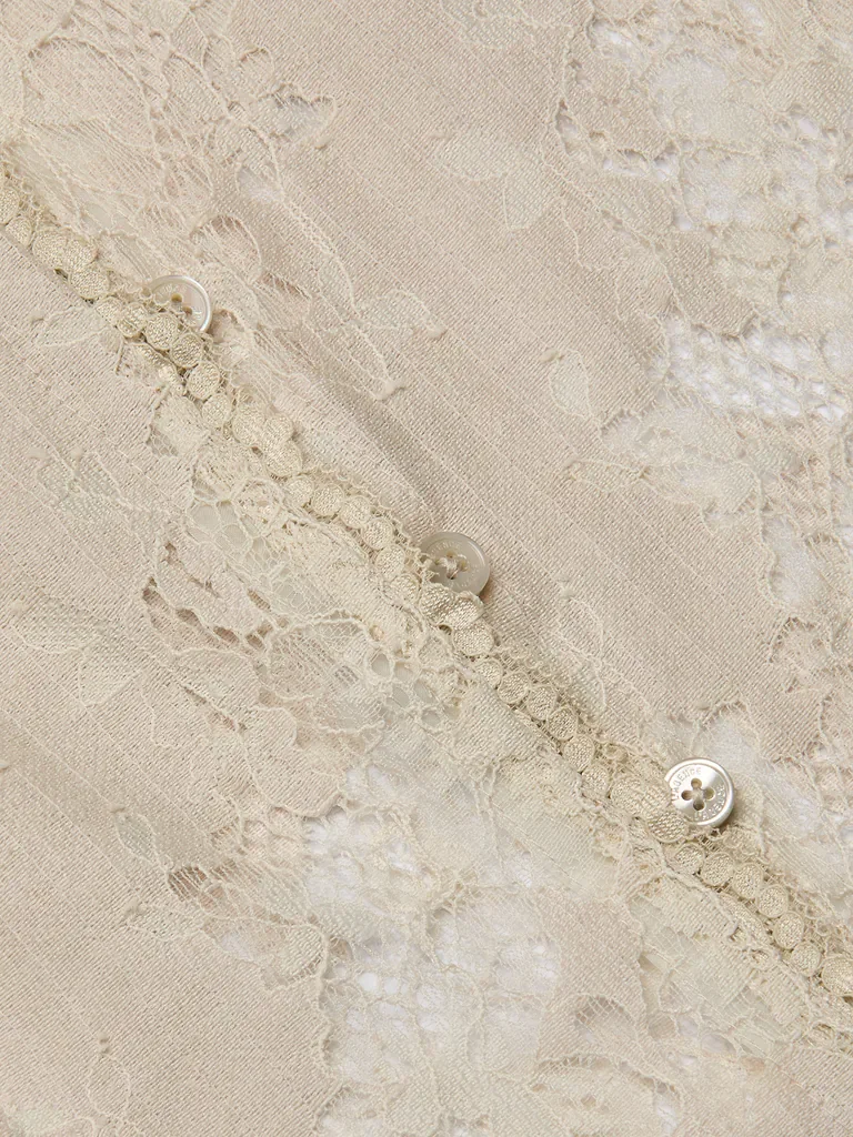 40750ACE_CHMP_CLOSEUP.webp