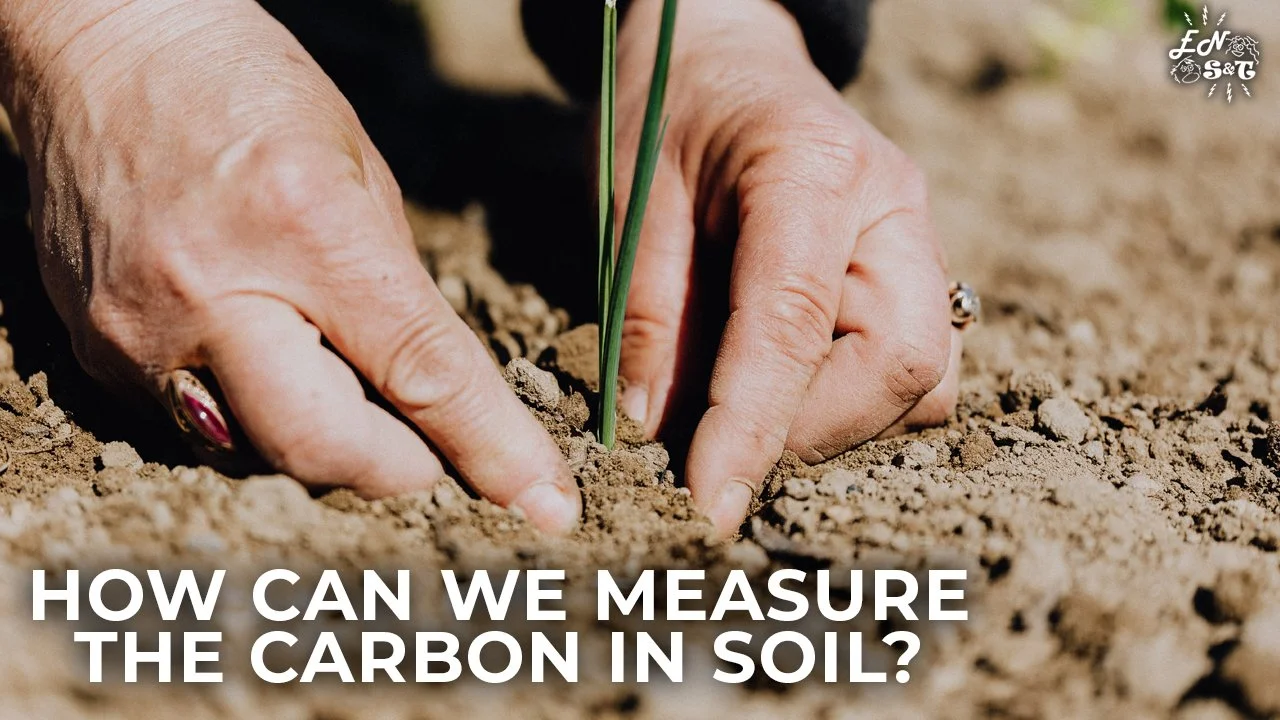 Everything You Ever Wanted to Know About Sequestering Carbon in Soil (w/Chris Tolles)