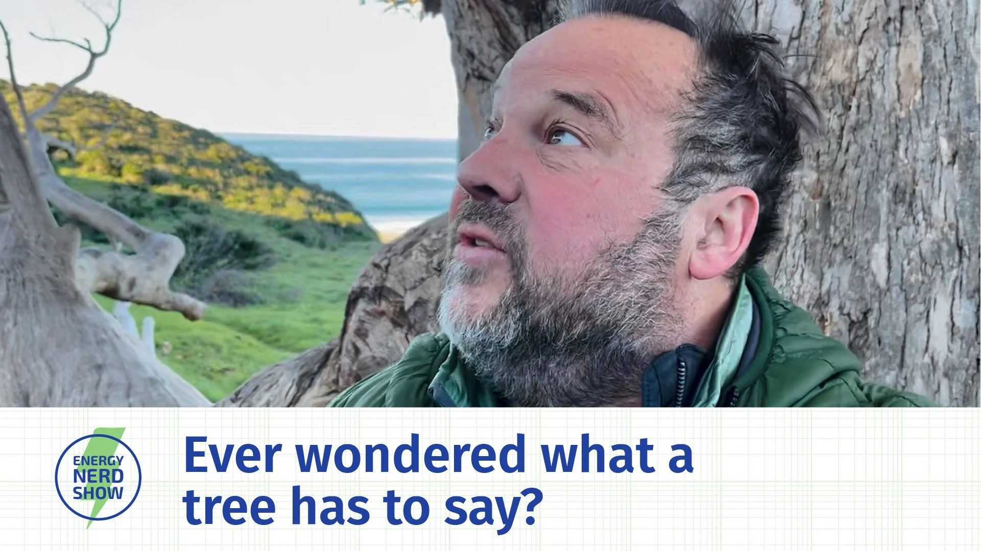 Bruce Literally Interviews a Tree (w/Bruce Biewald)