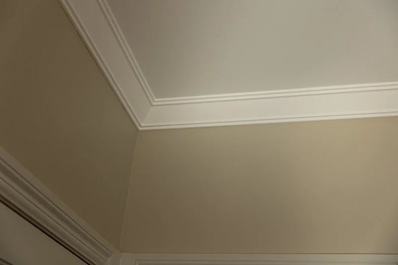 DMG_6872.jpg