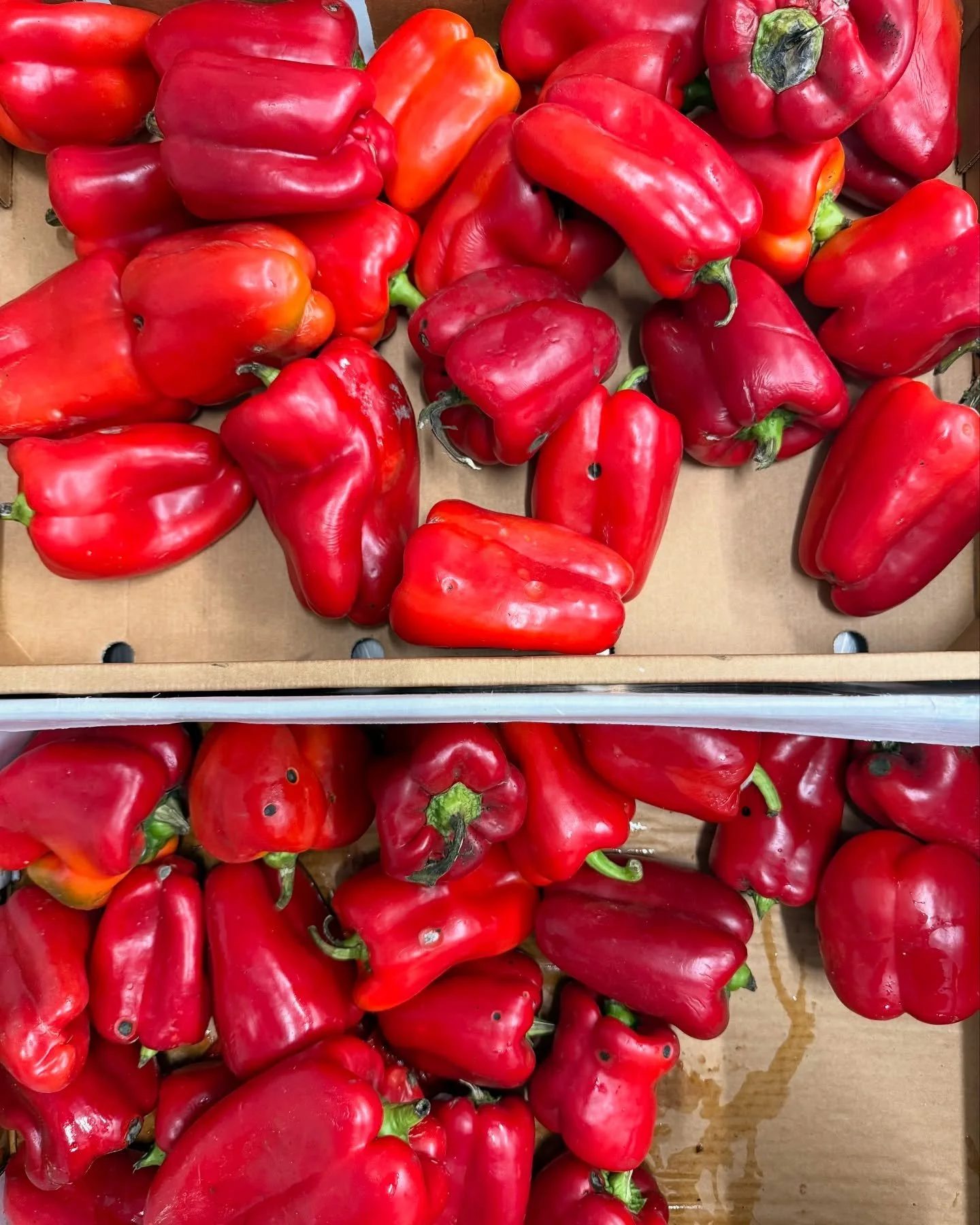 All of this produce was once waste-doomed. But the produce traders at the Queen Vic Market and our Innovation Chef @tobieputtock are collaborating to ensure this produce will live its best life.

At the Moving Feast Kitchen, we rescue unsold produce 