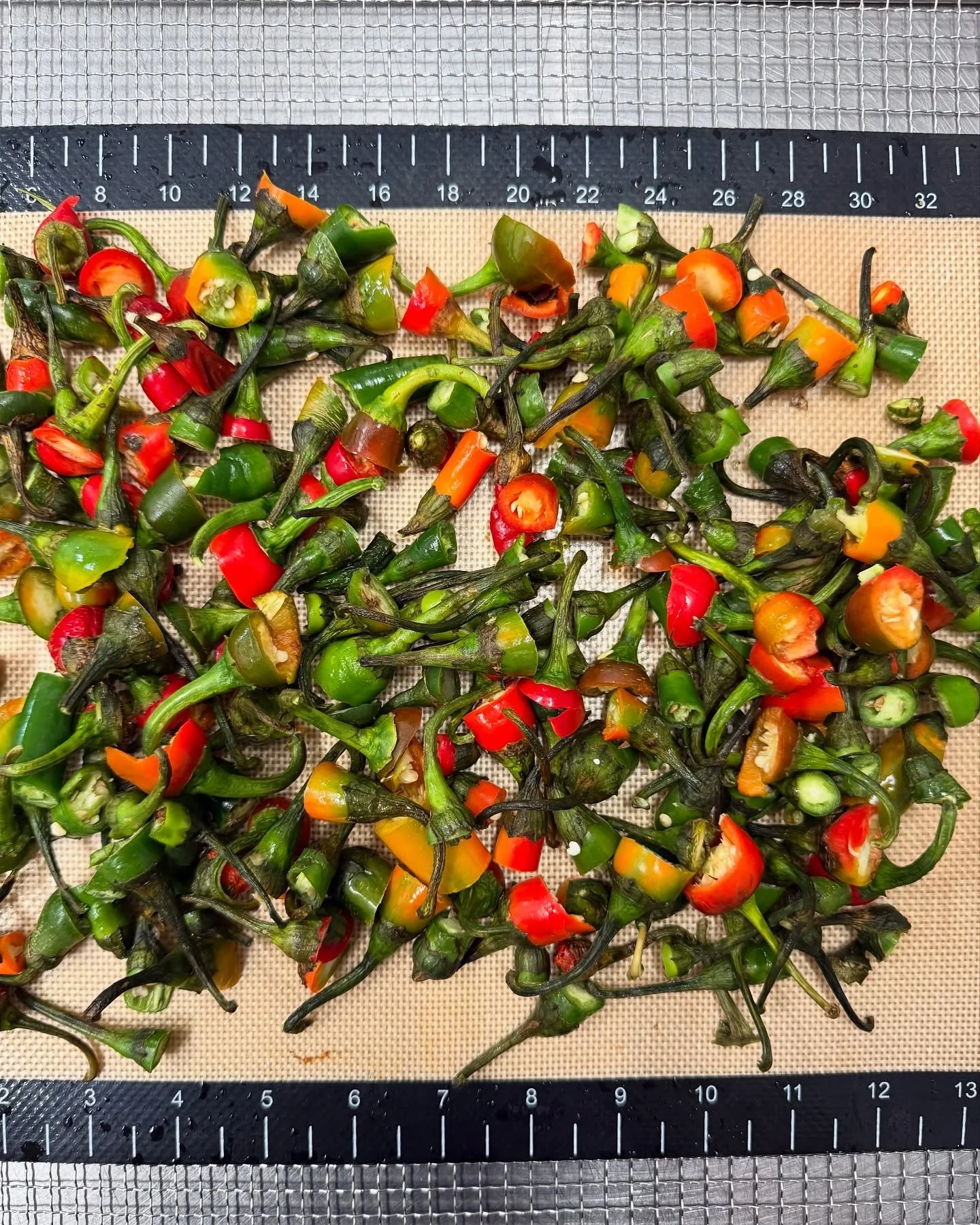 We have had a lot to do with chillies recently. And with the stems, which most of us would instinctually put in the green waste bin, @tobieputtock has other plans 🙂&zwj;↕️

By saving the stems and running them through the dehydrator, we can remove a