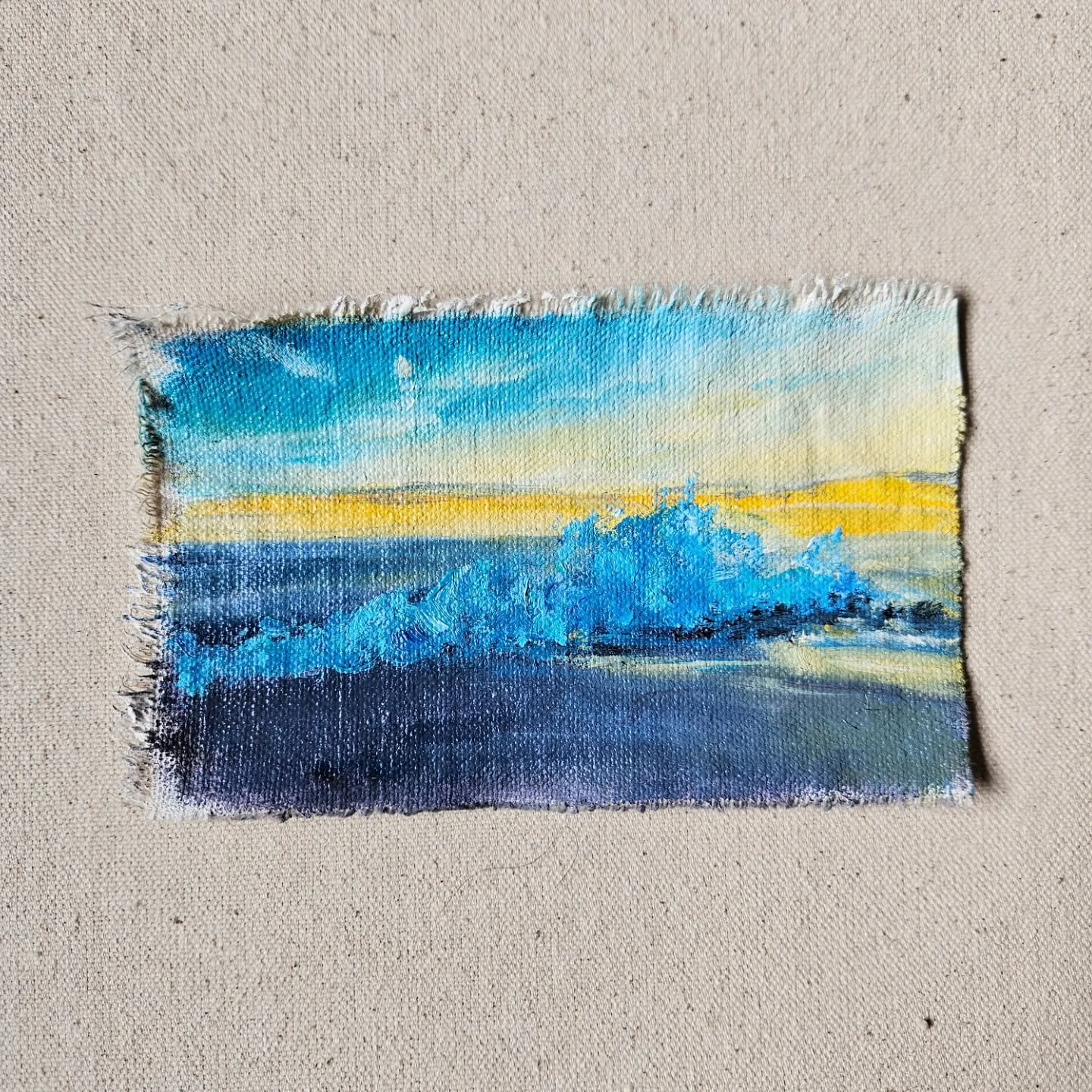 2016 - Cape May New Jersey

NJ had theeeeeee best birding of any place we've lived in North America. Cape May was always a treat.