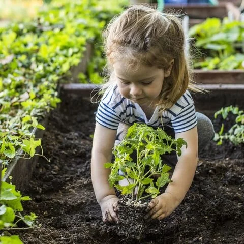 kids-gardening-school-holidays-2020.jpg